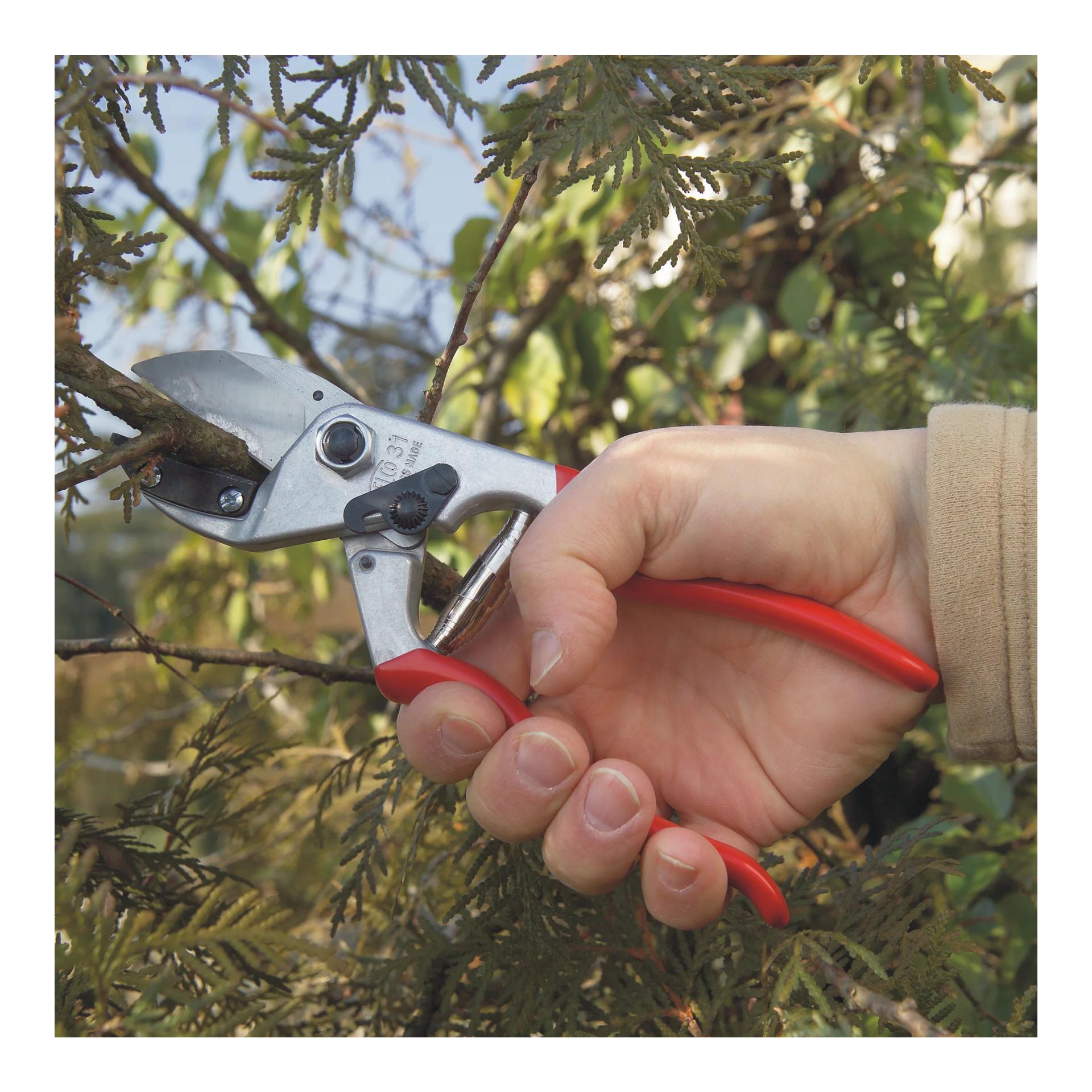 Felco FELCO 31 Amboss-Baum-, Reb- und Gartenschere