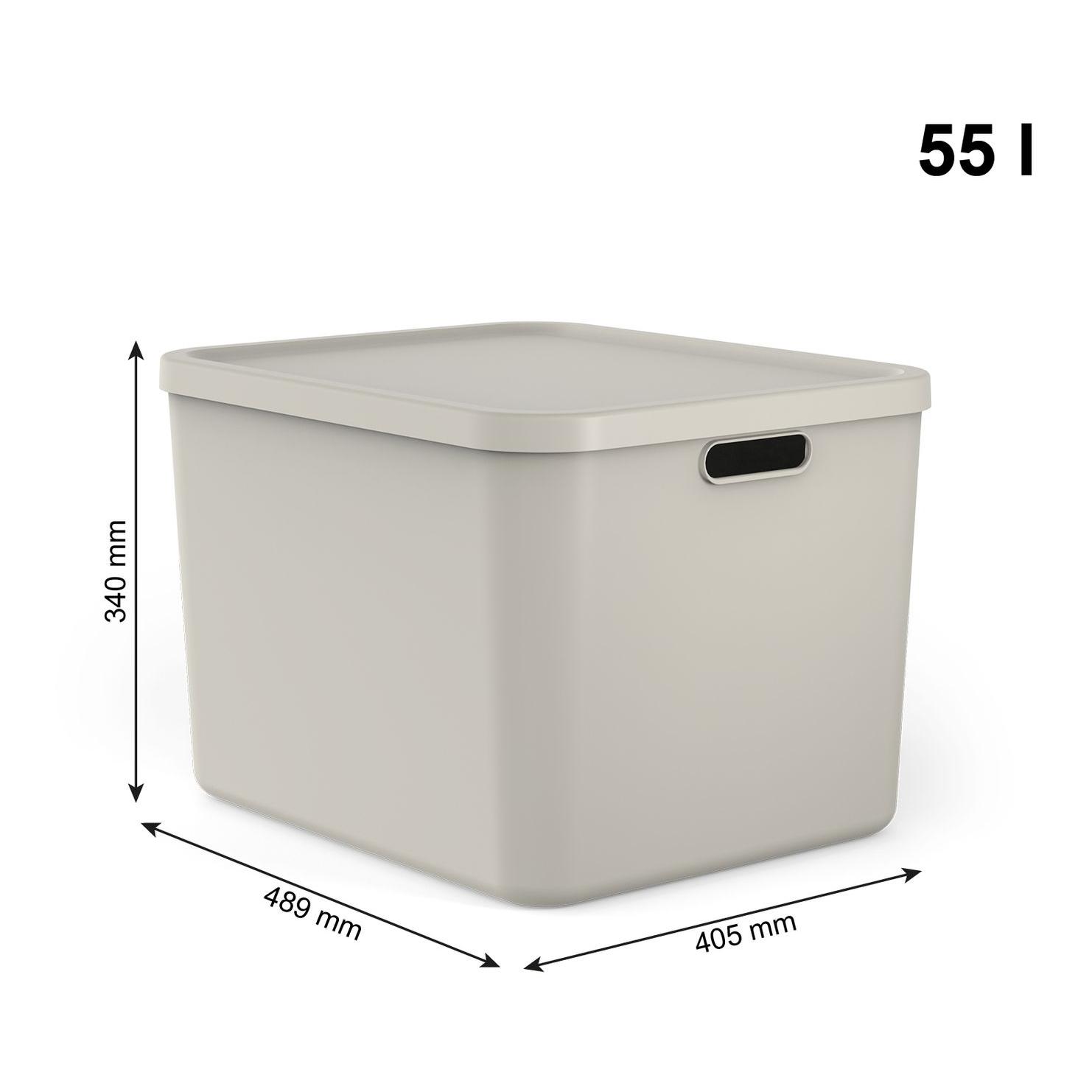 Rotho Multibox ALBULA