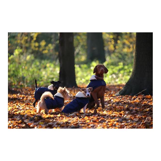 Kentucky Dogwear Manteau pour chien Original - marine