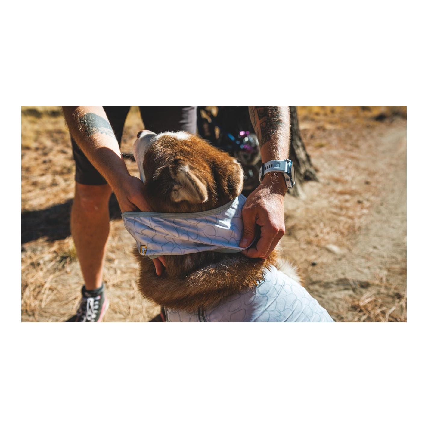 Ruffwear Foulard rafraîchissant Swamp Cooler