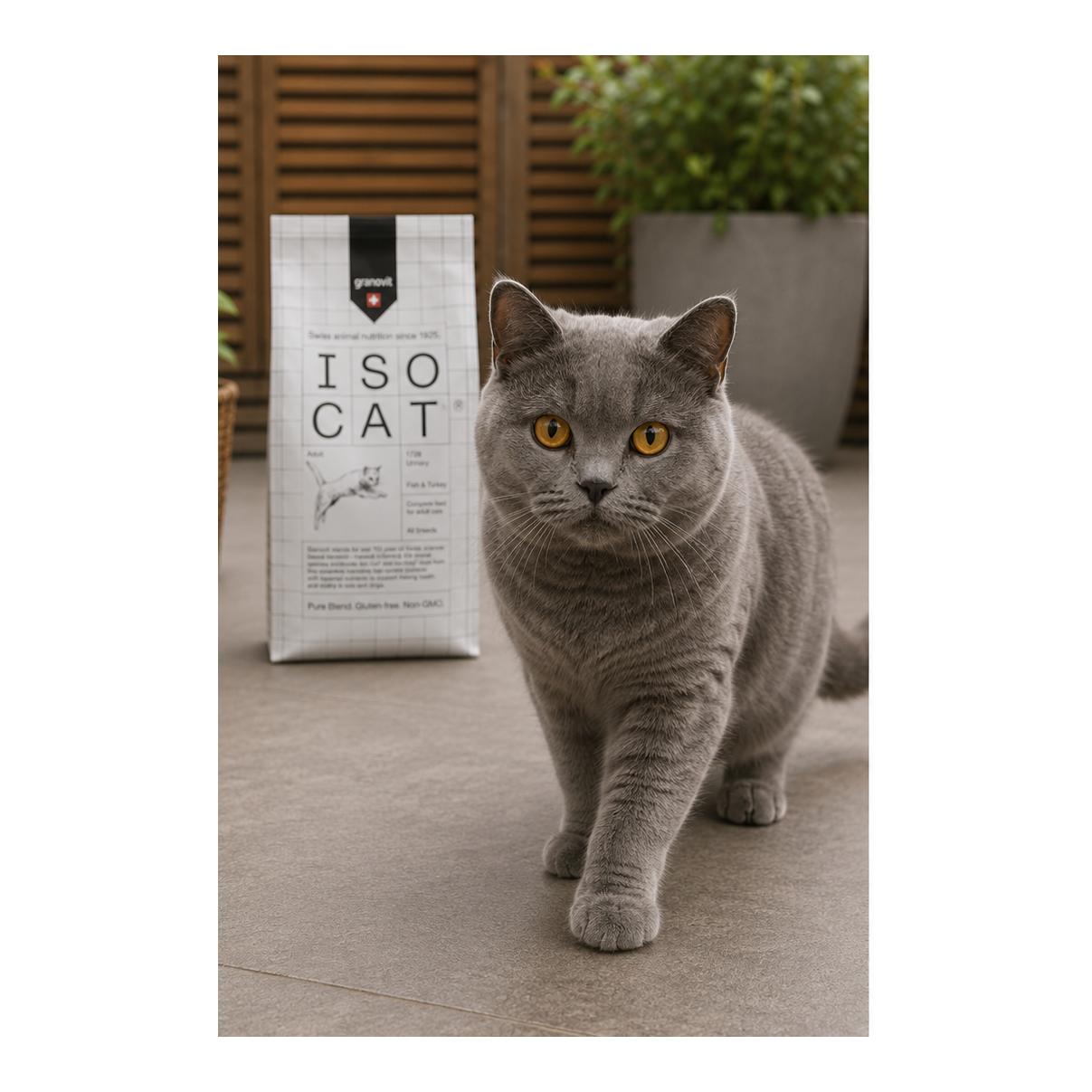 Iso-Cat Adult 1728 Urinary Poisson & Dinde