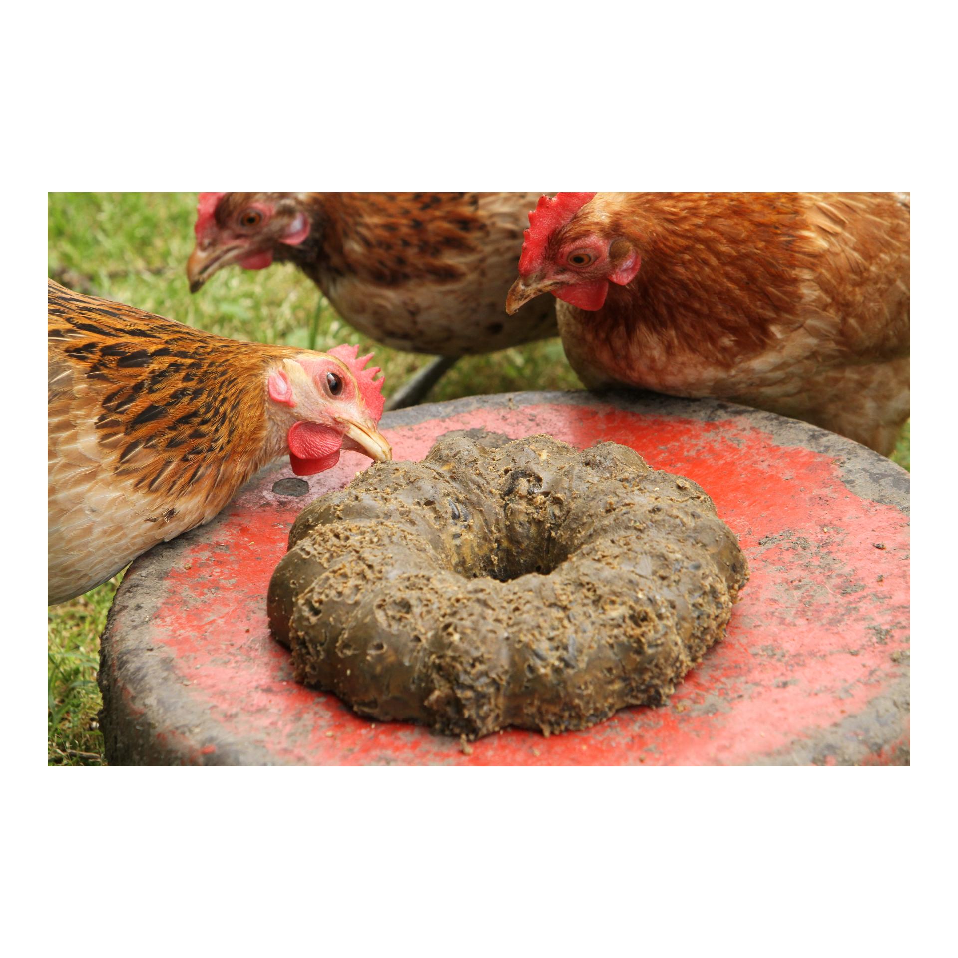 Hauptner Grosser Energie Gugelhupf für Hühner und Vögel