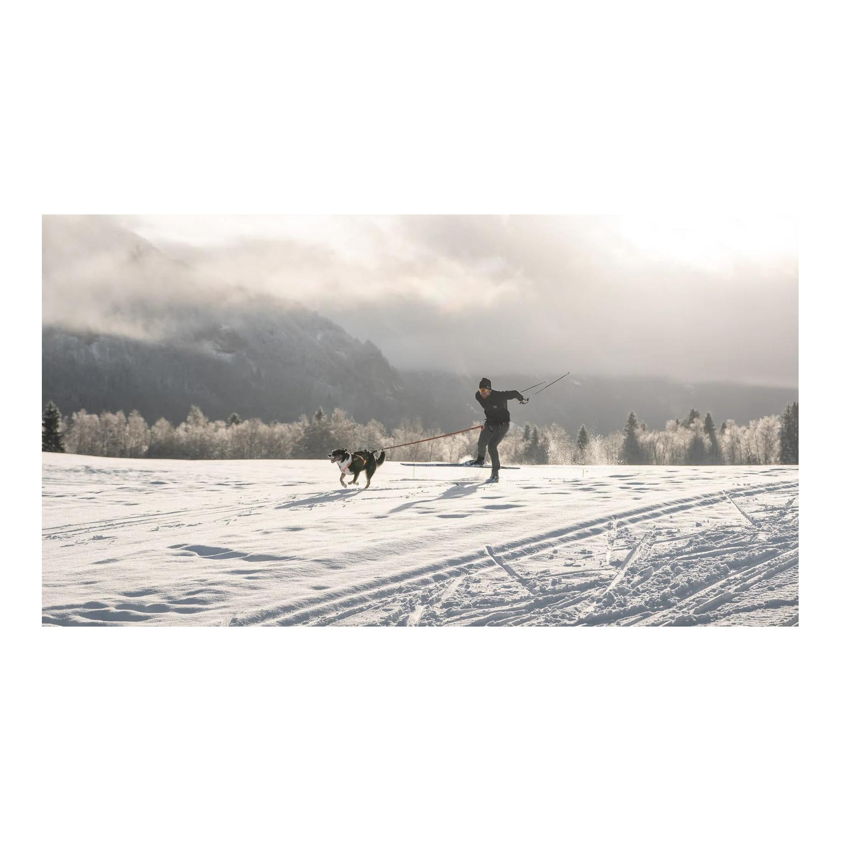 Non-stop Dogwear Løype Belt Pro - Ceinture ergonomique pour chien pour le skijöring