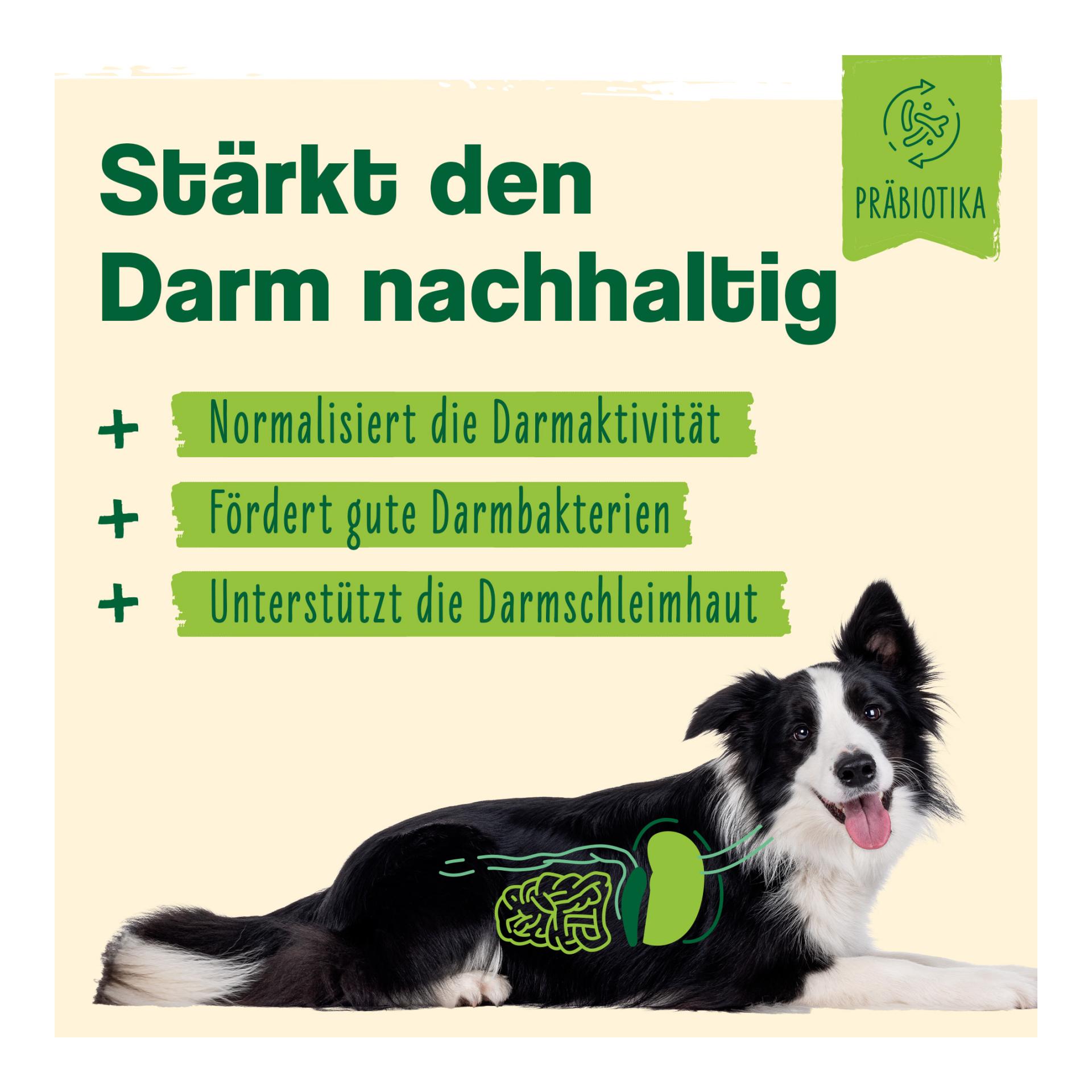 IdaPlus Argile - Complément alimentaire pour chats