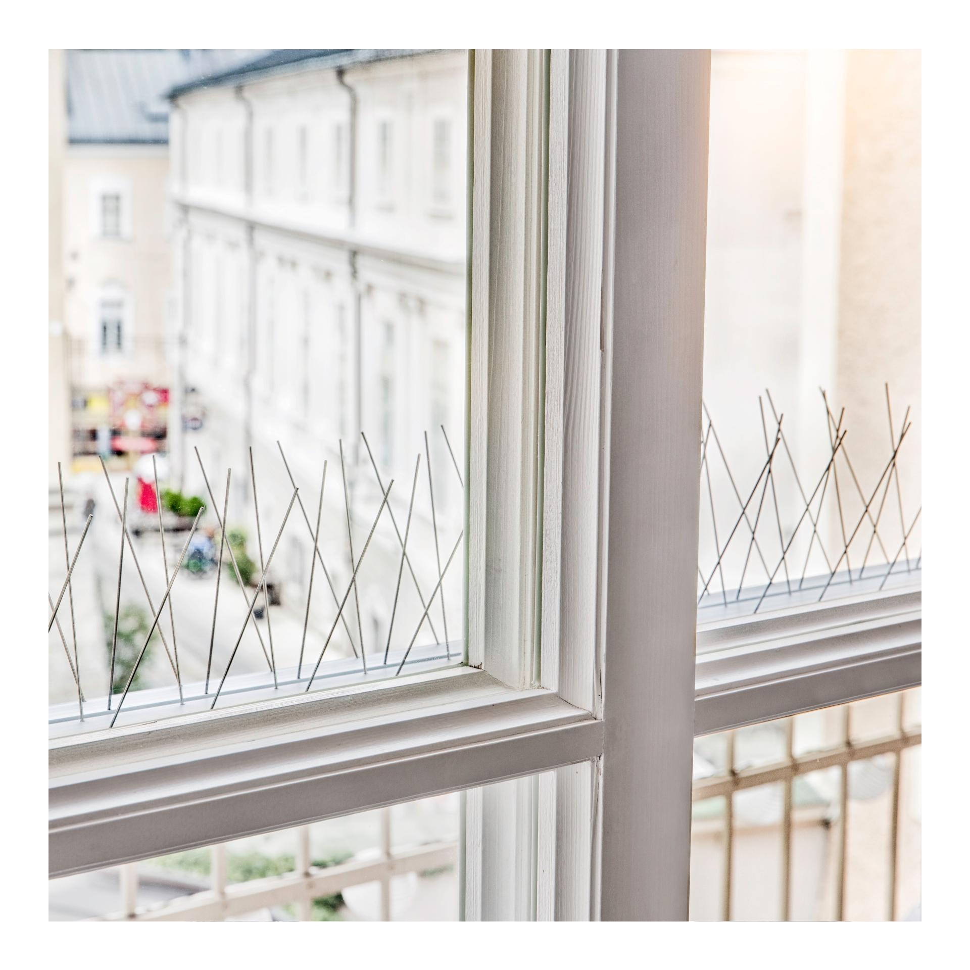 Windhager Système ALU-PROFI pour repousser les pigeons