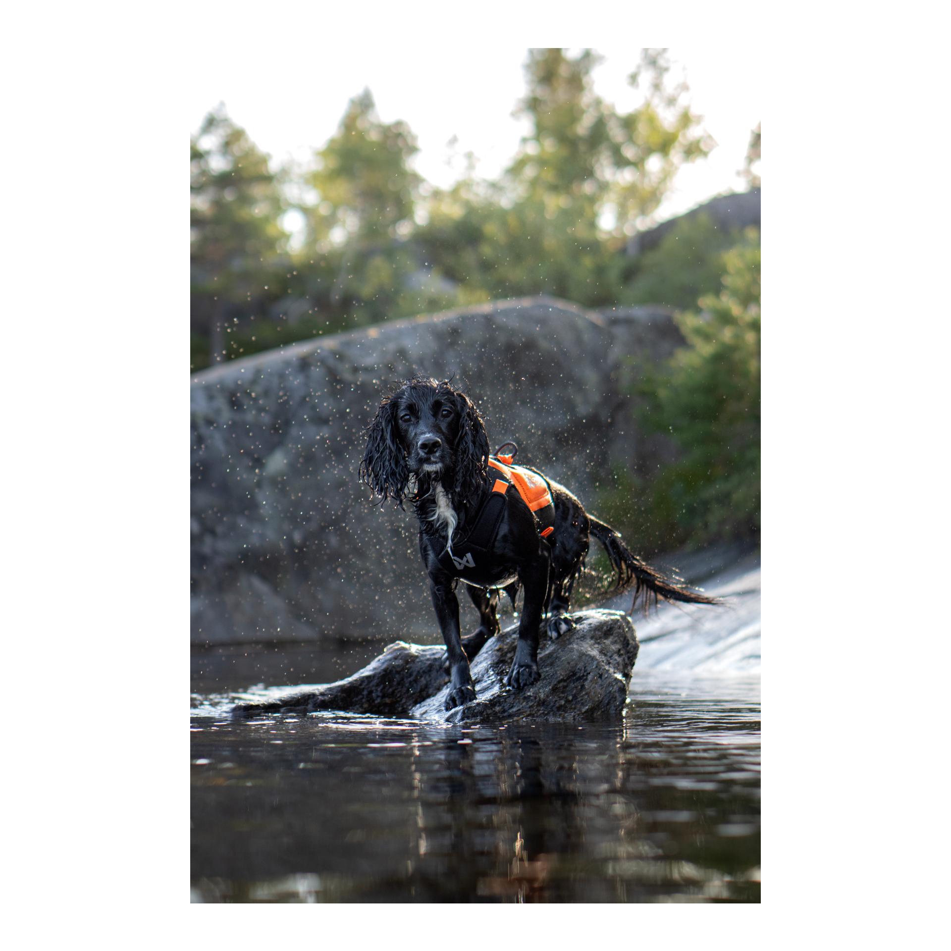 Non-stop Dogwear Gilet de protection en néoprène
