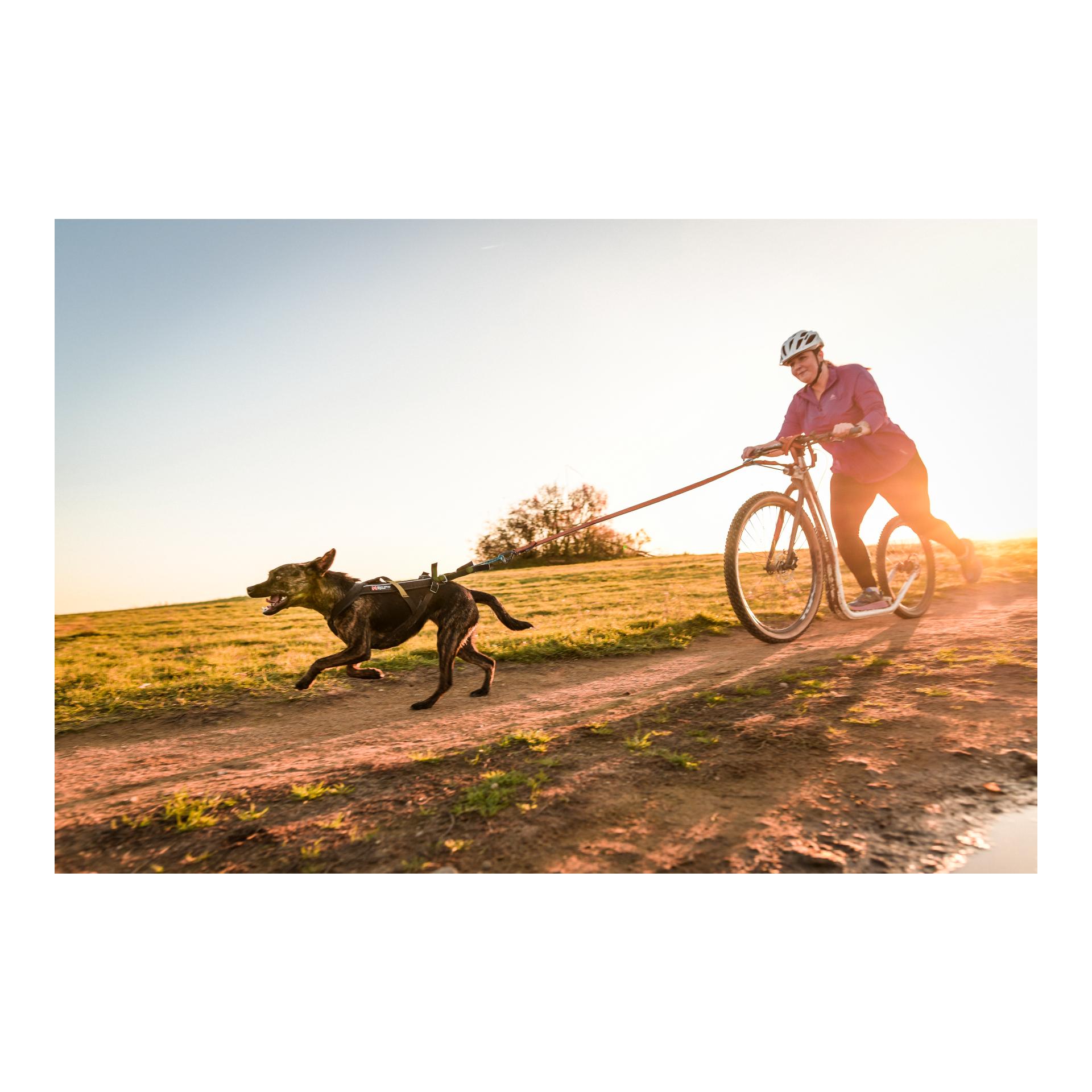 Non-stop Dogwear Joggingleine Bungee Leash