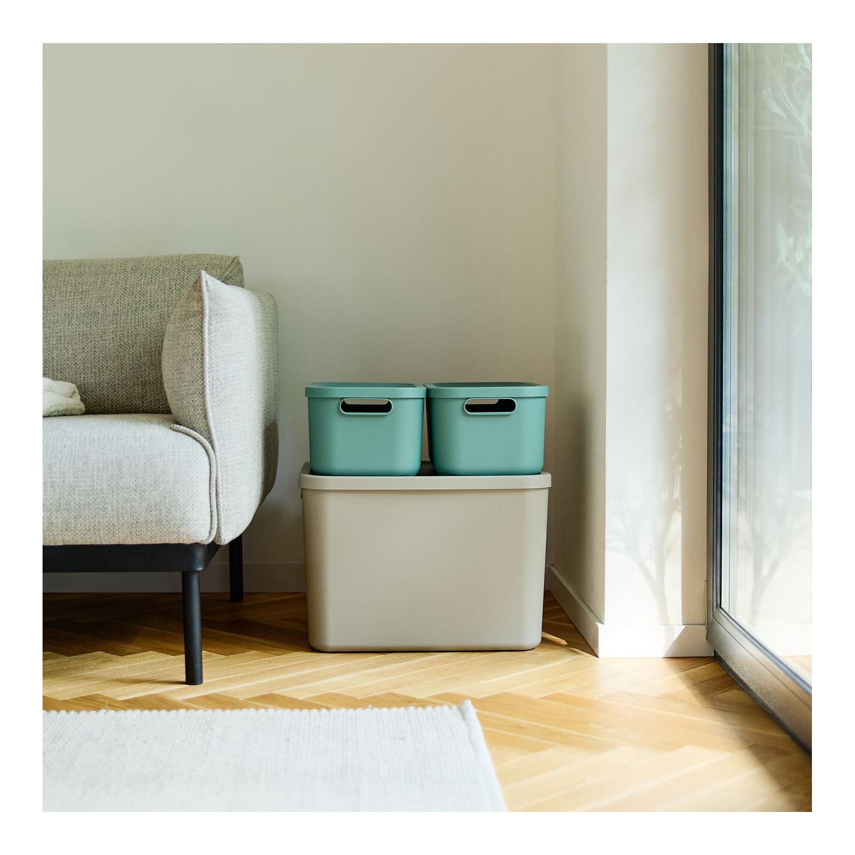 Rotho Multibox ALBULA