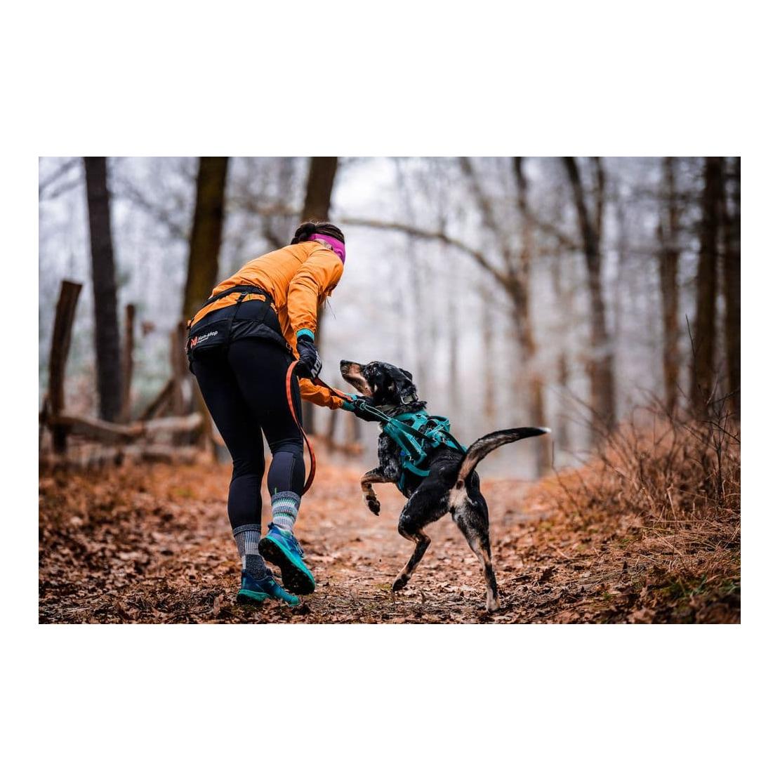 Non-stop Dogwear Laufgurt CaniX Belt 2.0