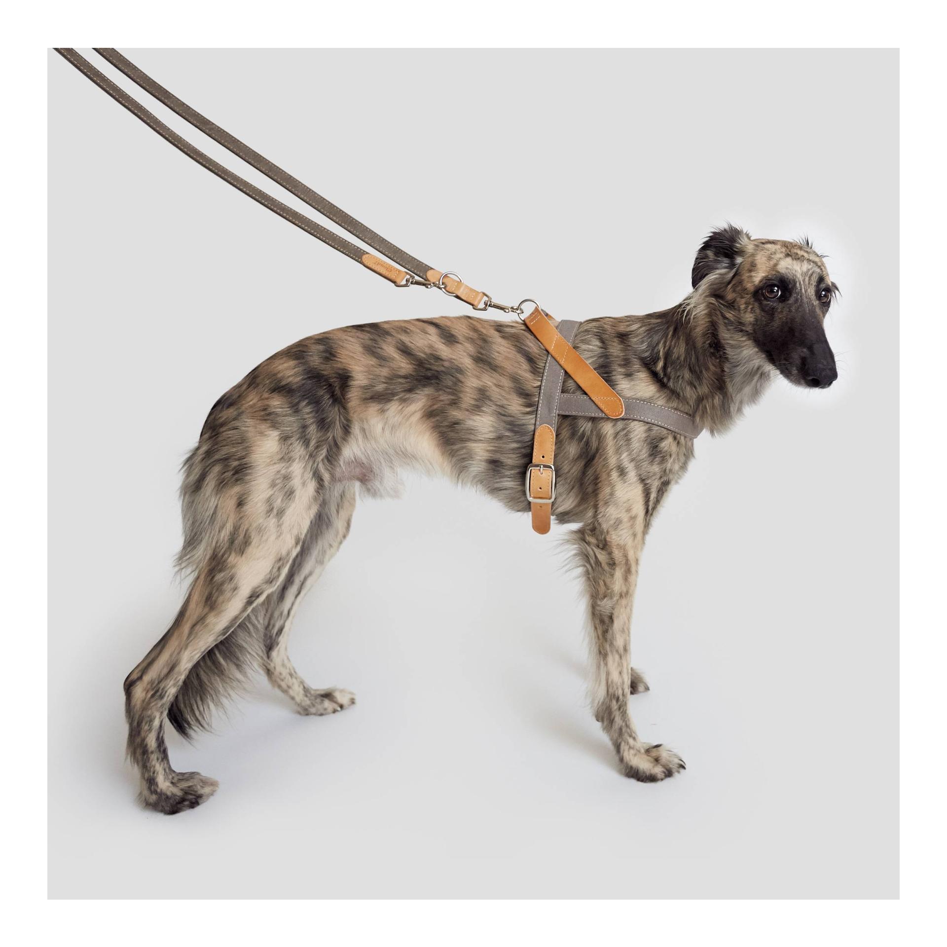Cloud 7 Hundegeschirr Tivoli - grau