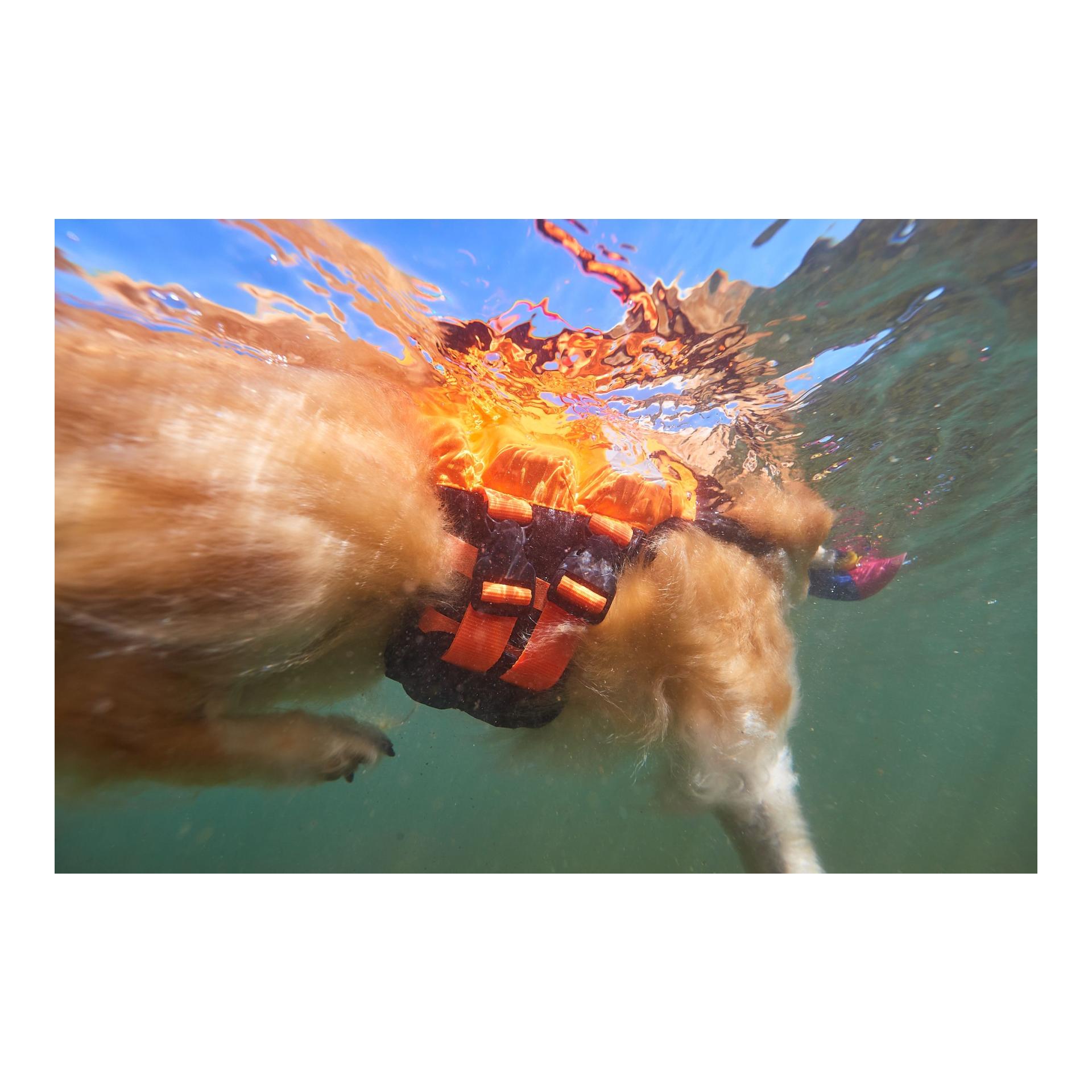 Non-stop Dogwear Protector Life Jacket Hundeschwimmweste