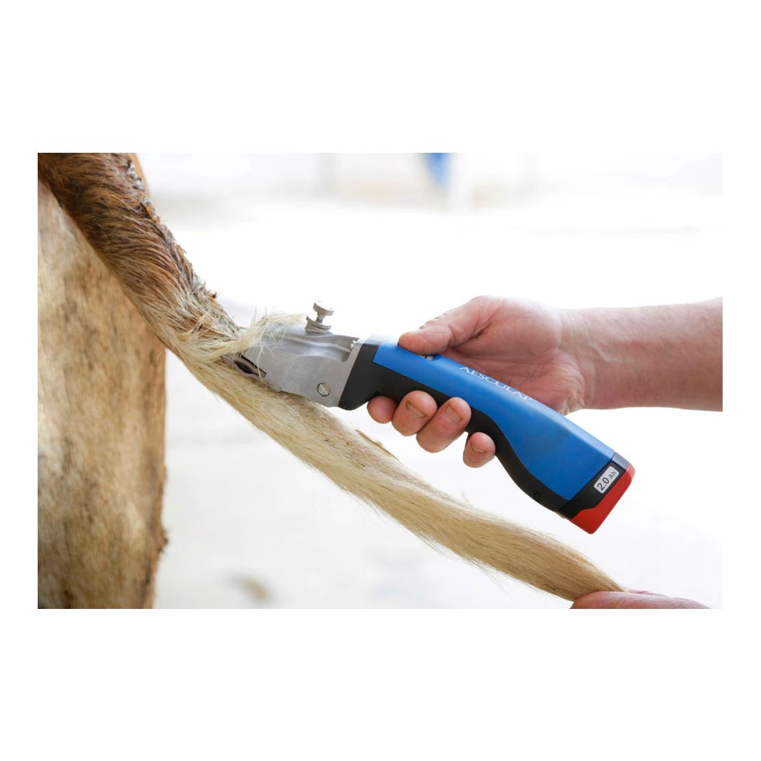 Aesculap Tondeuse sans fil Bonum Rind avec 1 batterie - bleu