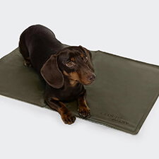 HP-Hund-Schlafplätze