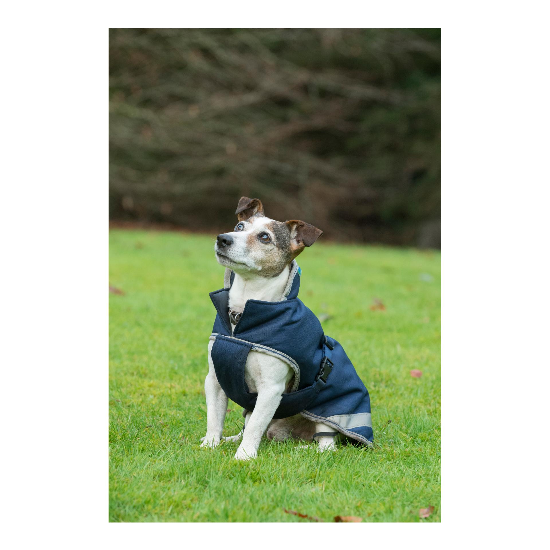 Bucas Hundedecke Freedom 300g