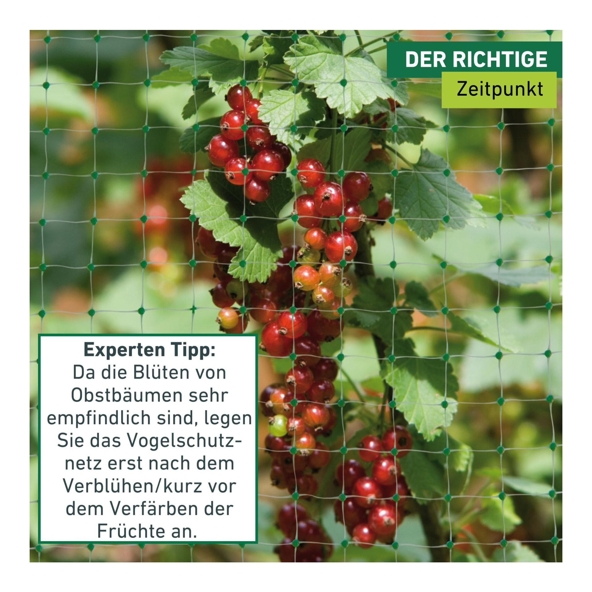 Windhager Filet de protection «OrtoNet», vert