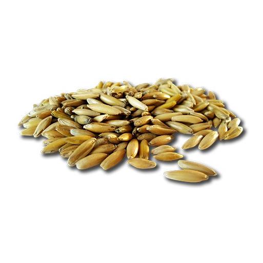 Pavo Pferdefutter Weisser Hafer