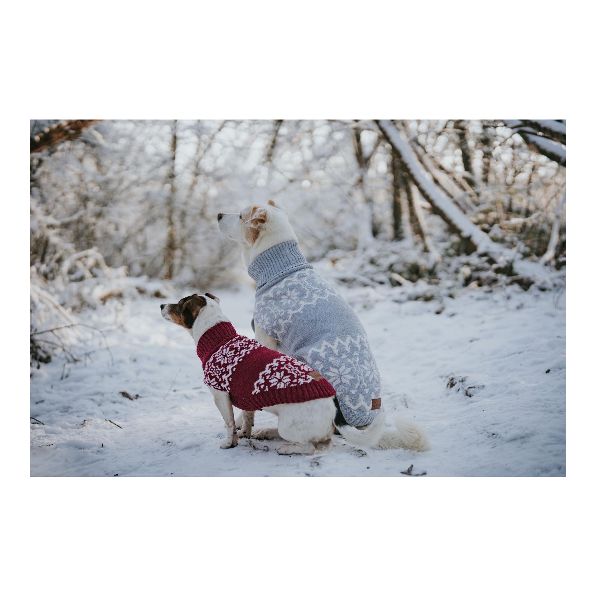 Hunter Pull pour chien Birka
