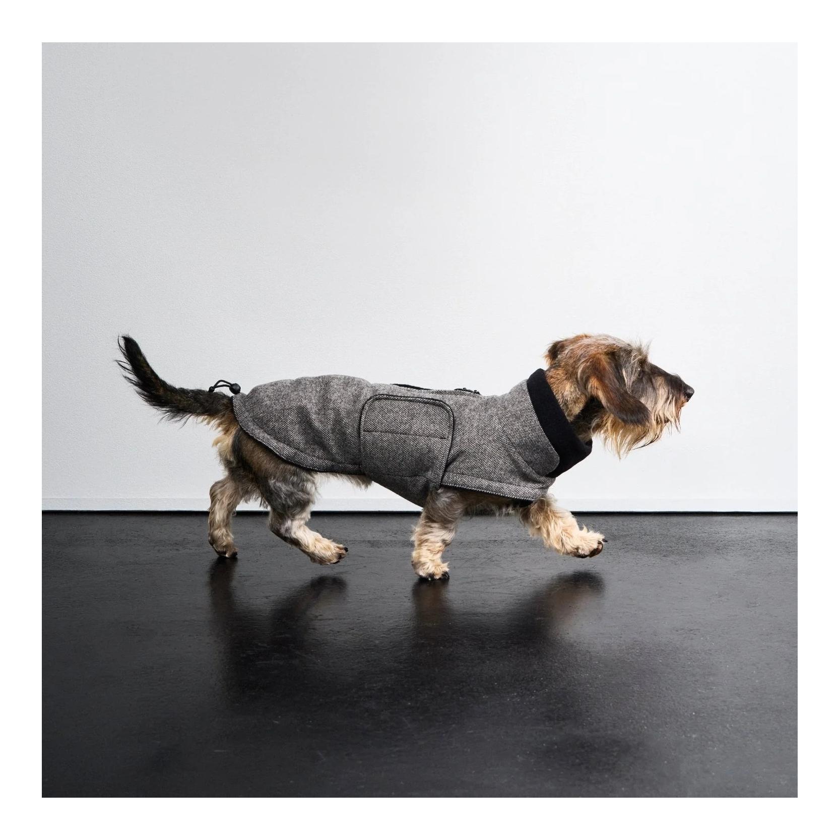 Cloud 7 Winter Hundemantel Brooklyn Dackel