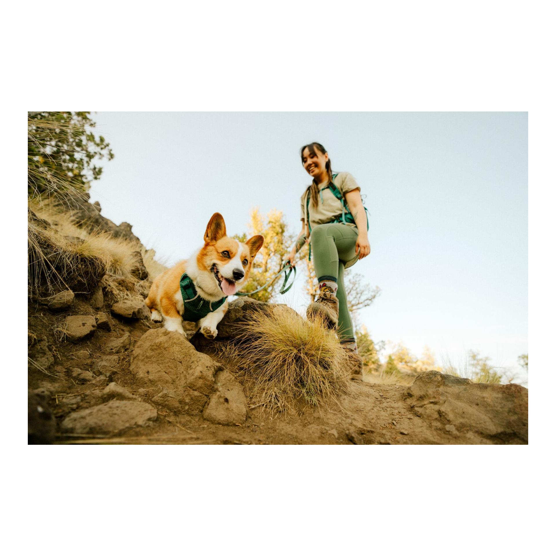 Ruffwear Front Range® Flex Harnais pour chien