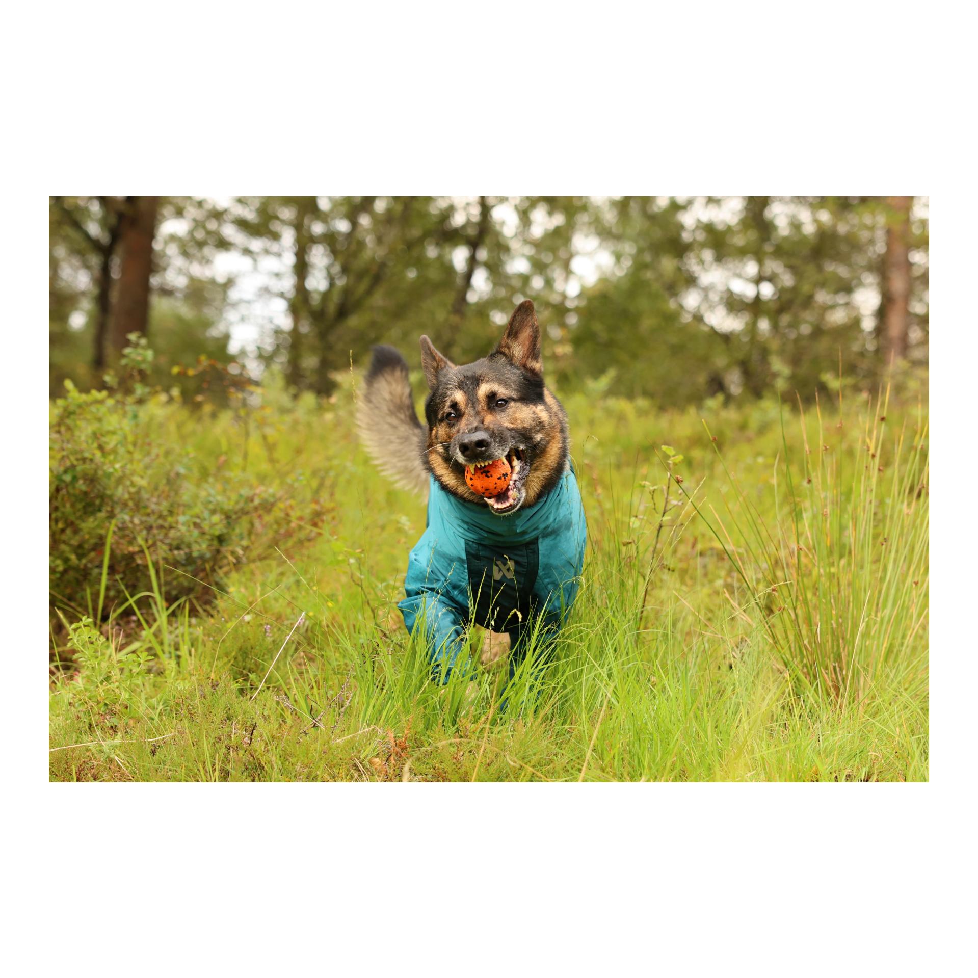 Non-stop Dogwear Imperméable Fjord