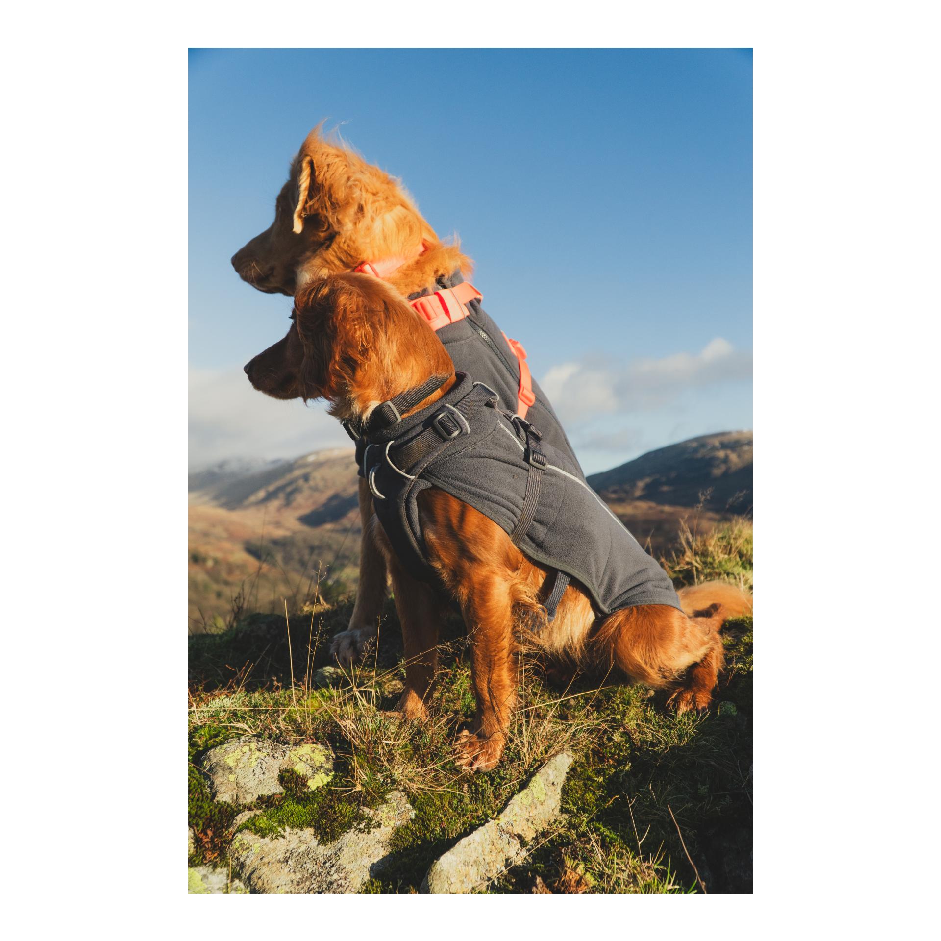 Ruffwear Climate Changer™ Fleece Vest