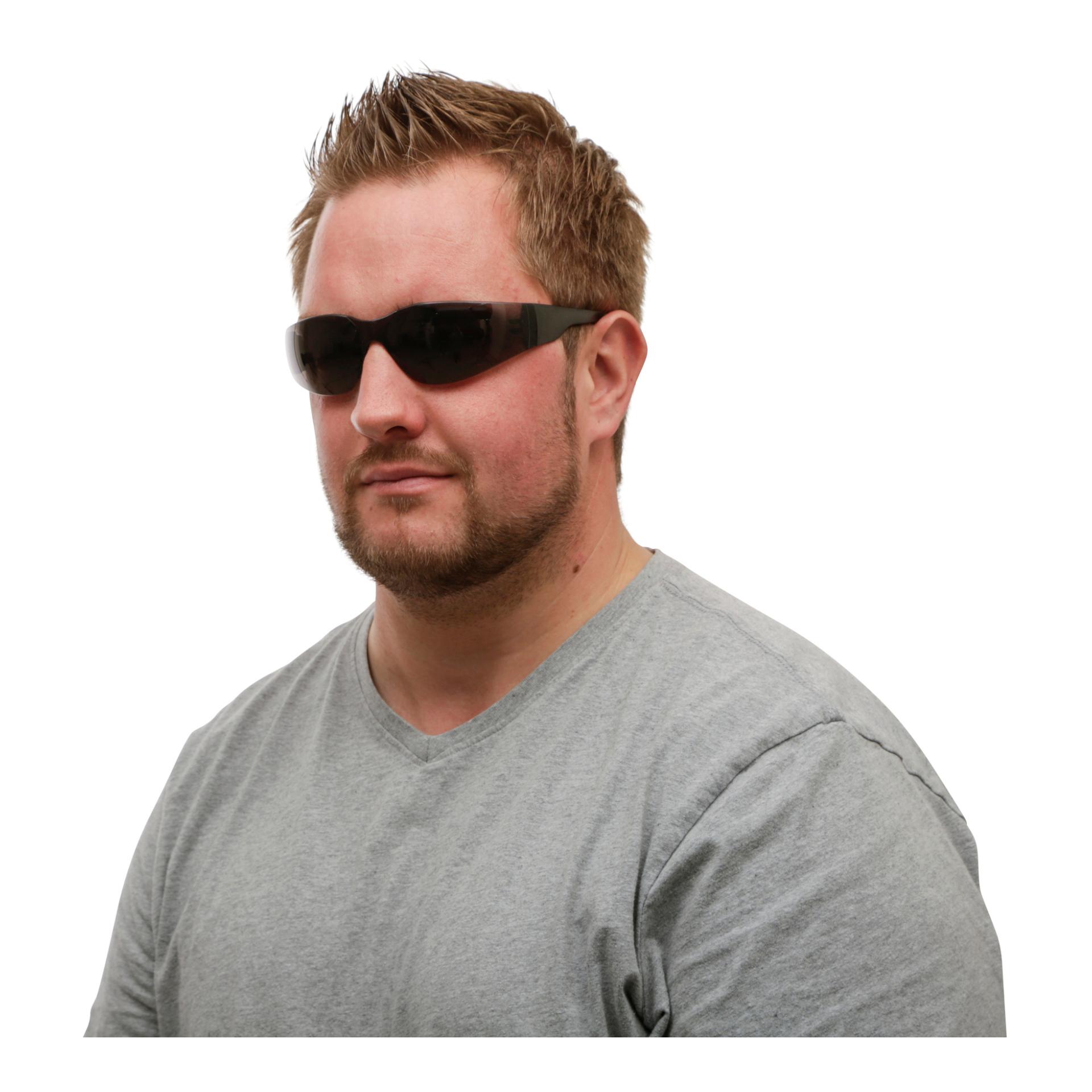 Kerbl Schutzbrille Light, getönt im SB-Pack