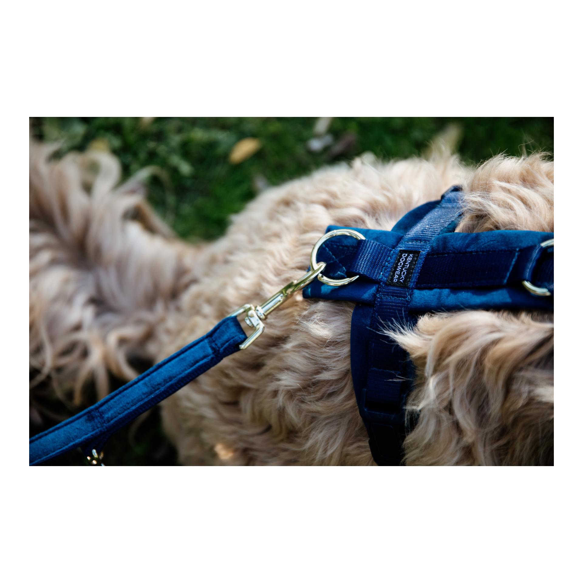 Kentucky Dogwear Hundeleine Velvet