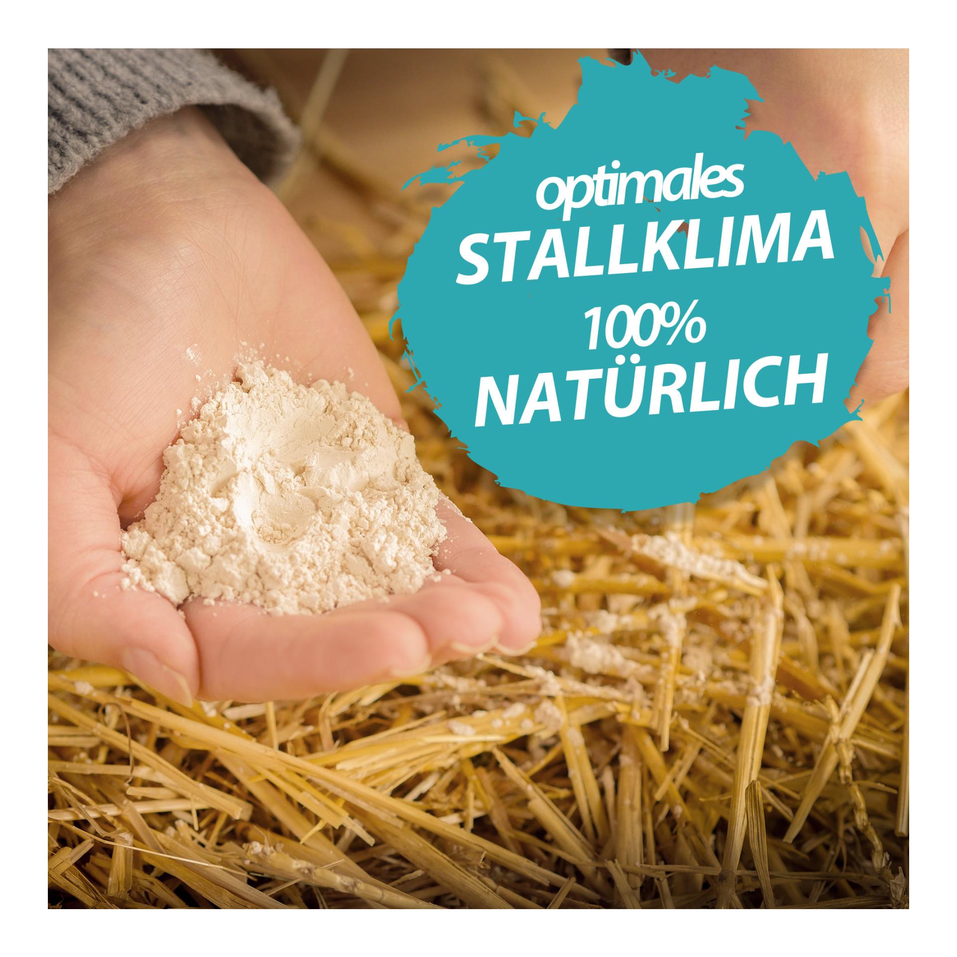 IdaPlus Terre de diatomée Natur - Terre de diatomée en poudre