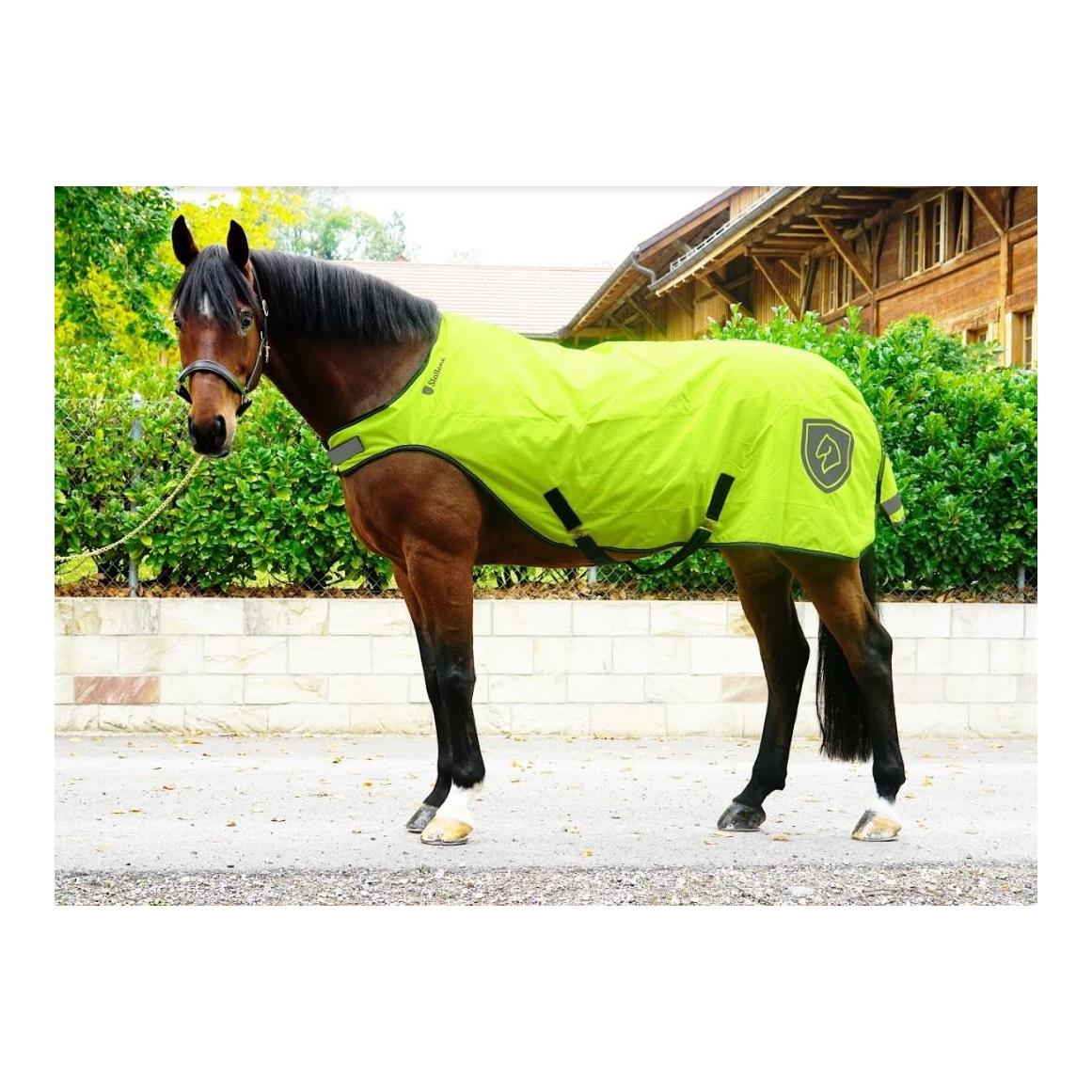 Stallone Walker Rug 100 g