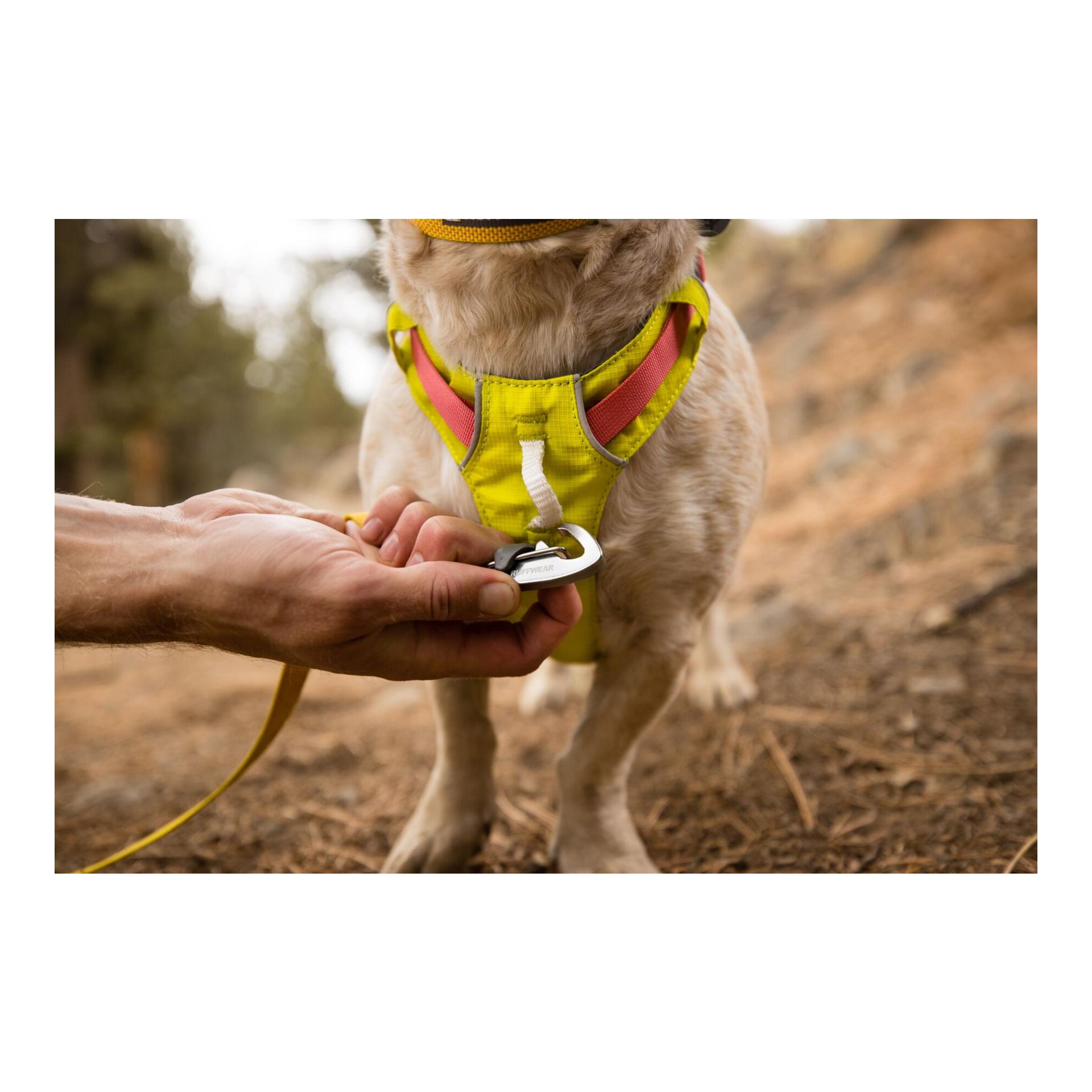 Ruffwear Harnais Hi &amp; Light™