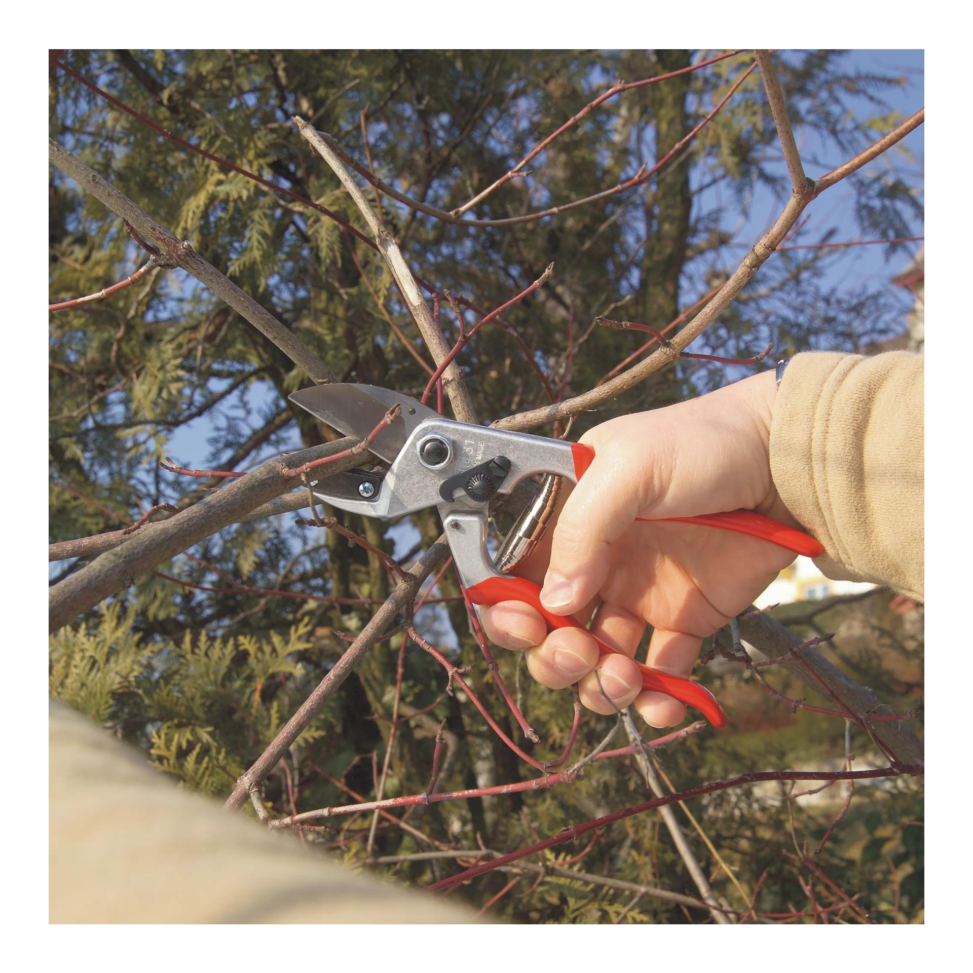Felco FELCO 31 Amboss-Baum-, Reb- und Gartenschere