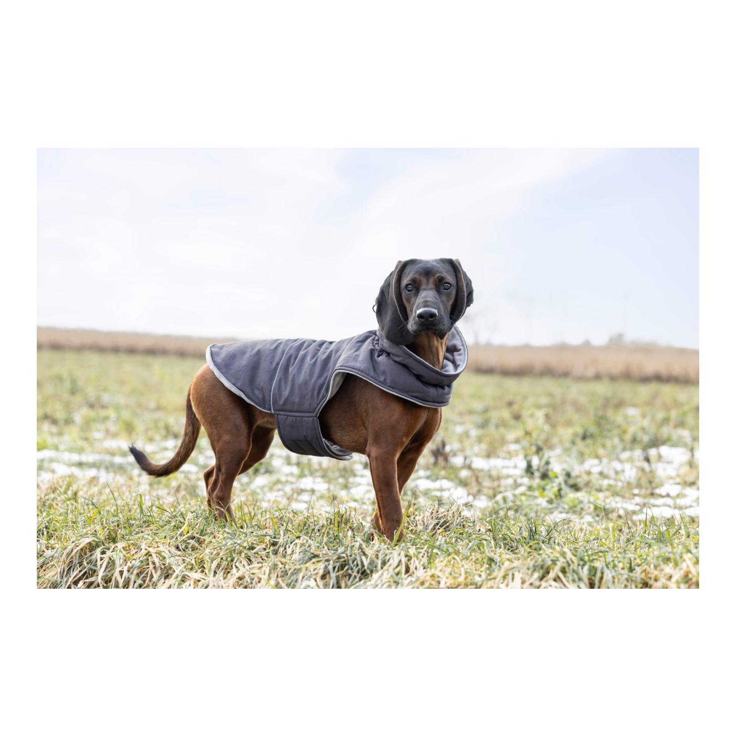 Kerbl Pet Manteau pour chien Montreal