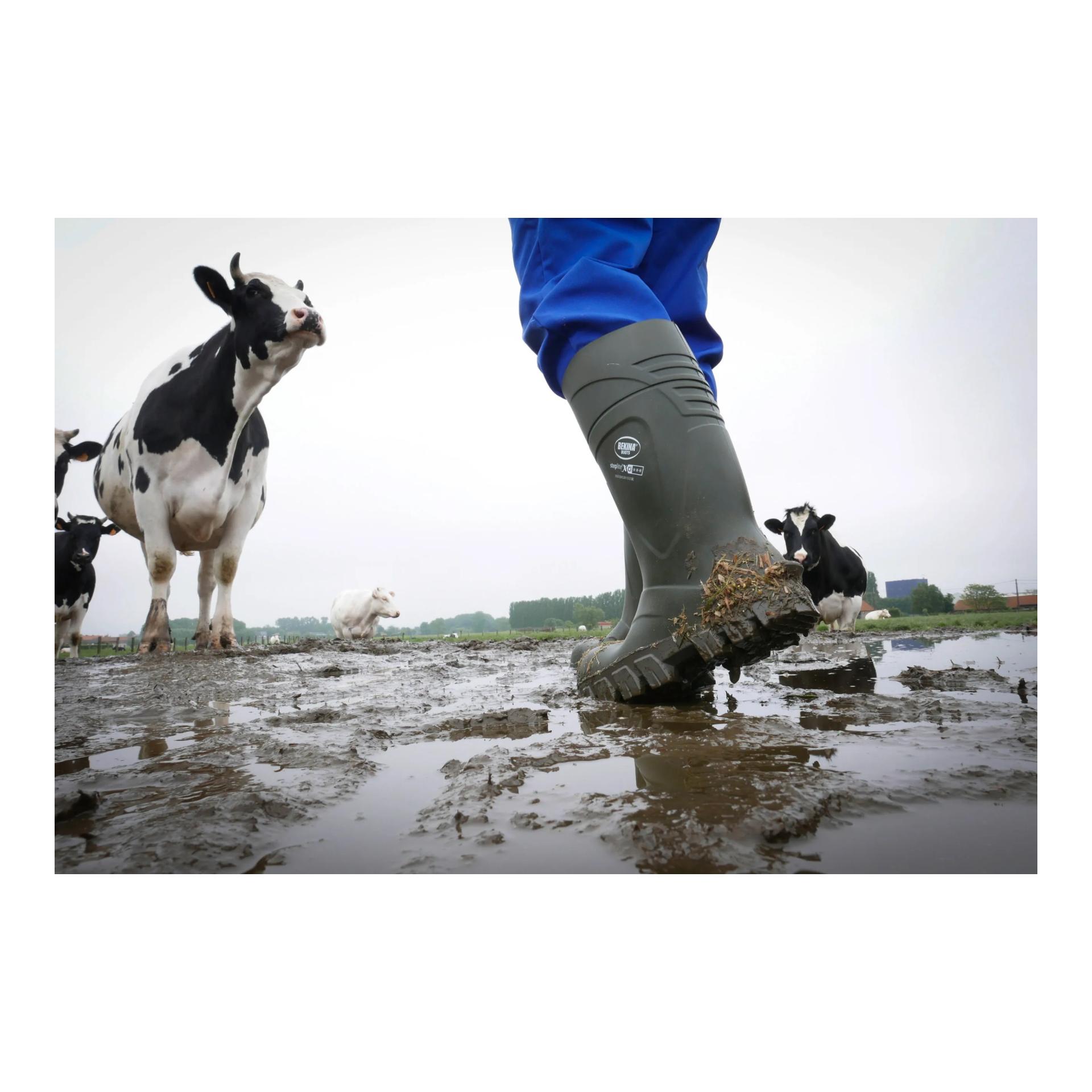 Bekina Bottes de sécurité S5 StepliteX Thermoprotec