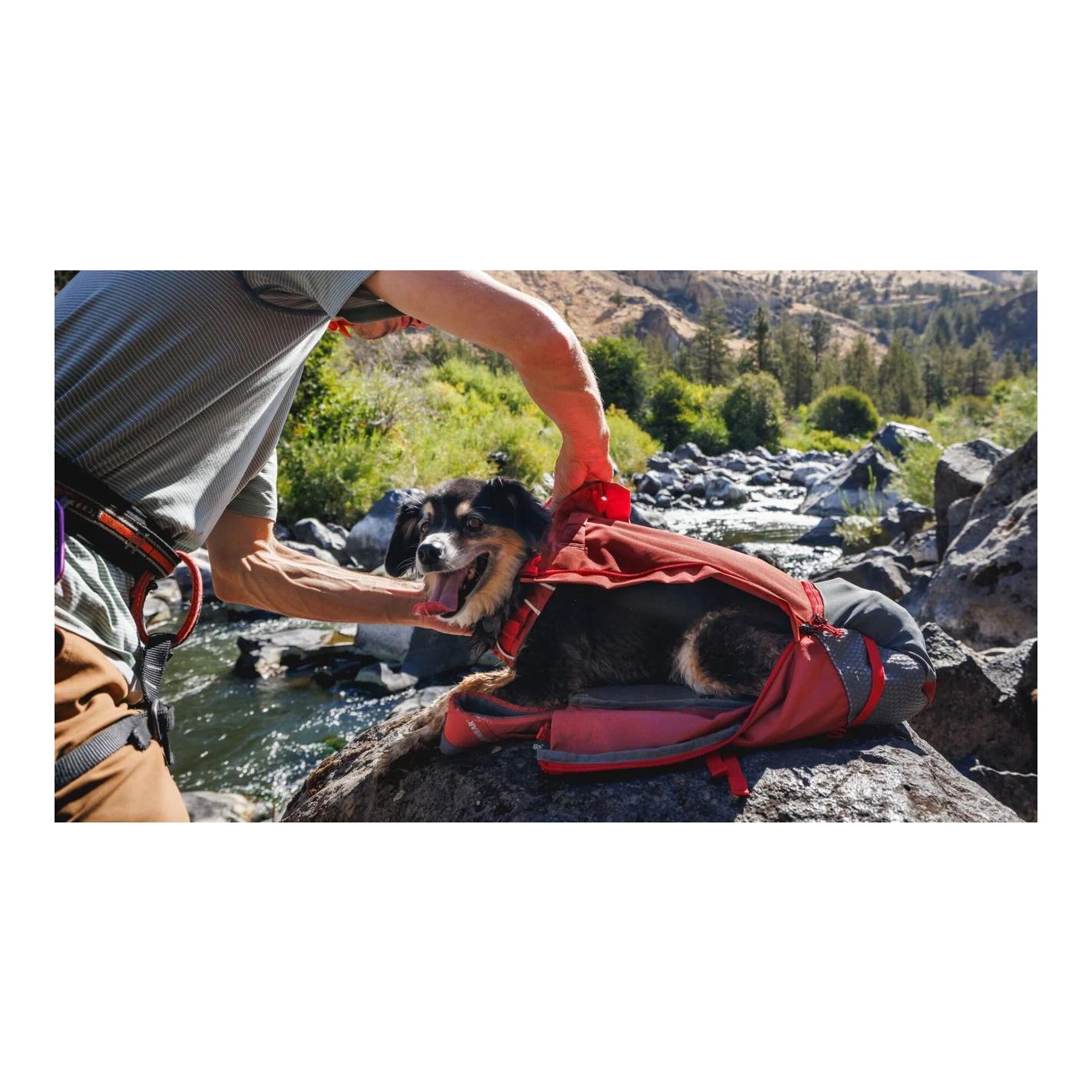 Ruffwear Hundetragetasche Hitch Hiker