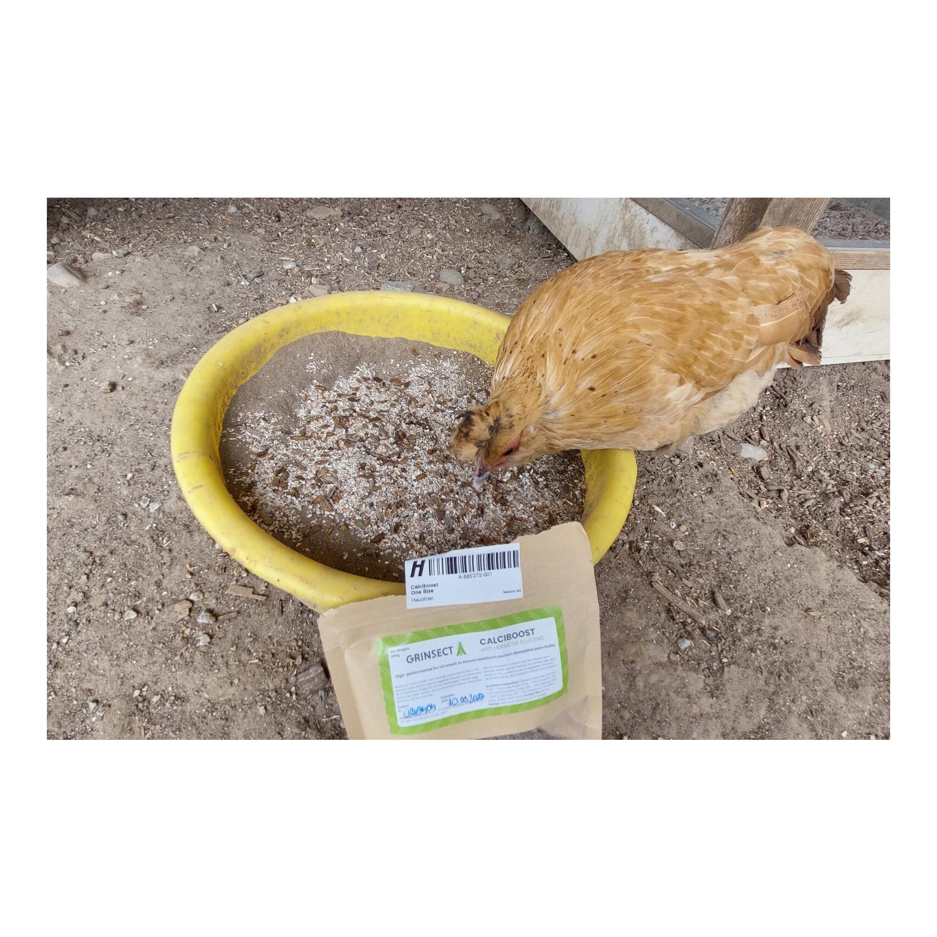 Hauptner Calciboost