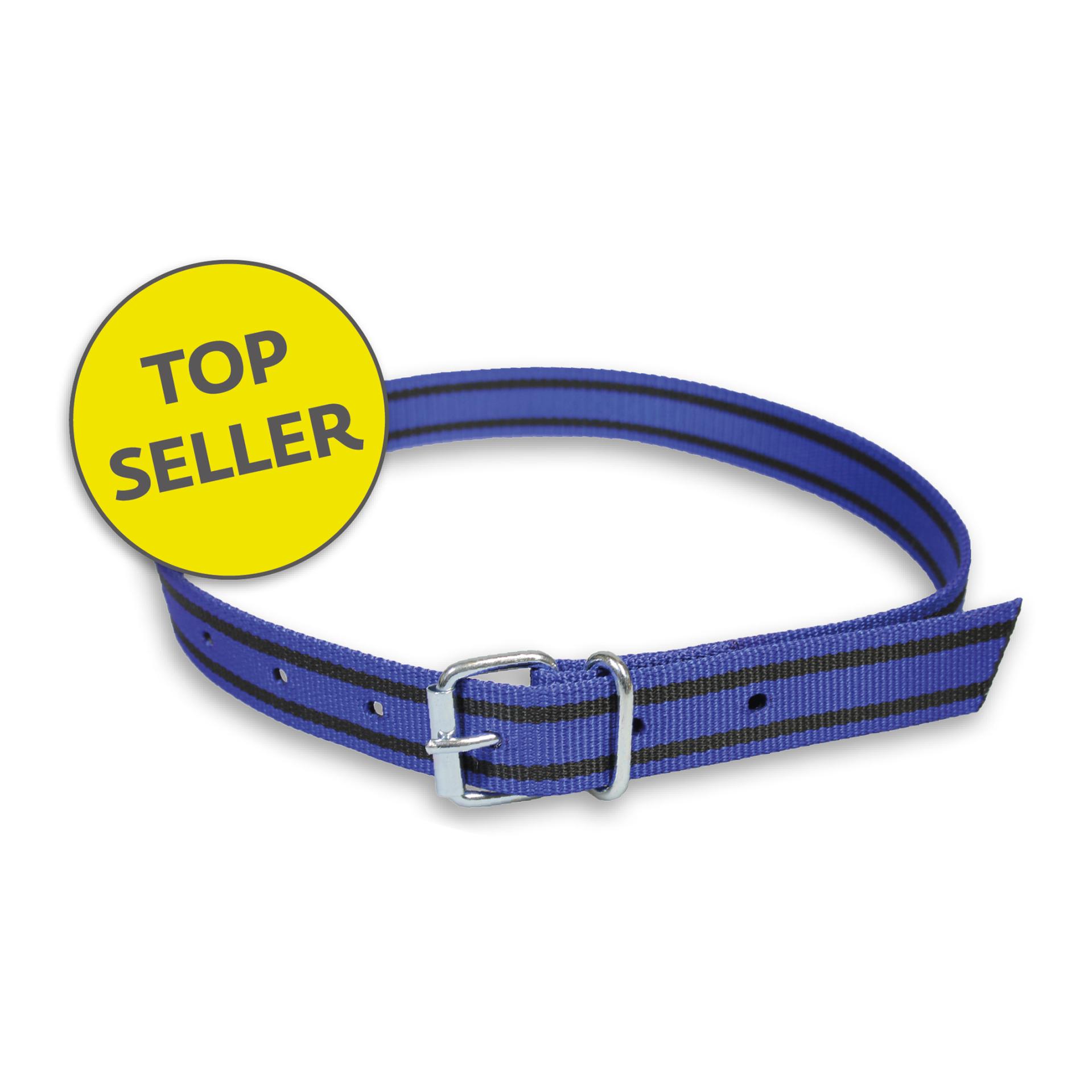 Mainer Halsband mit Rollschnalle 40 mm