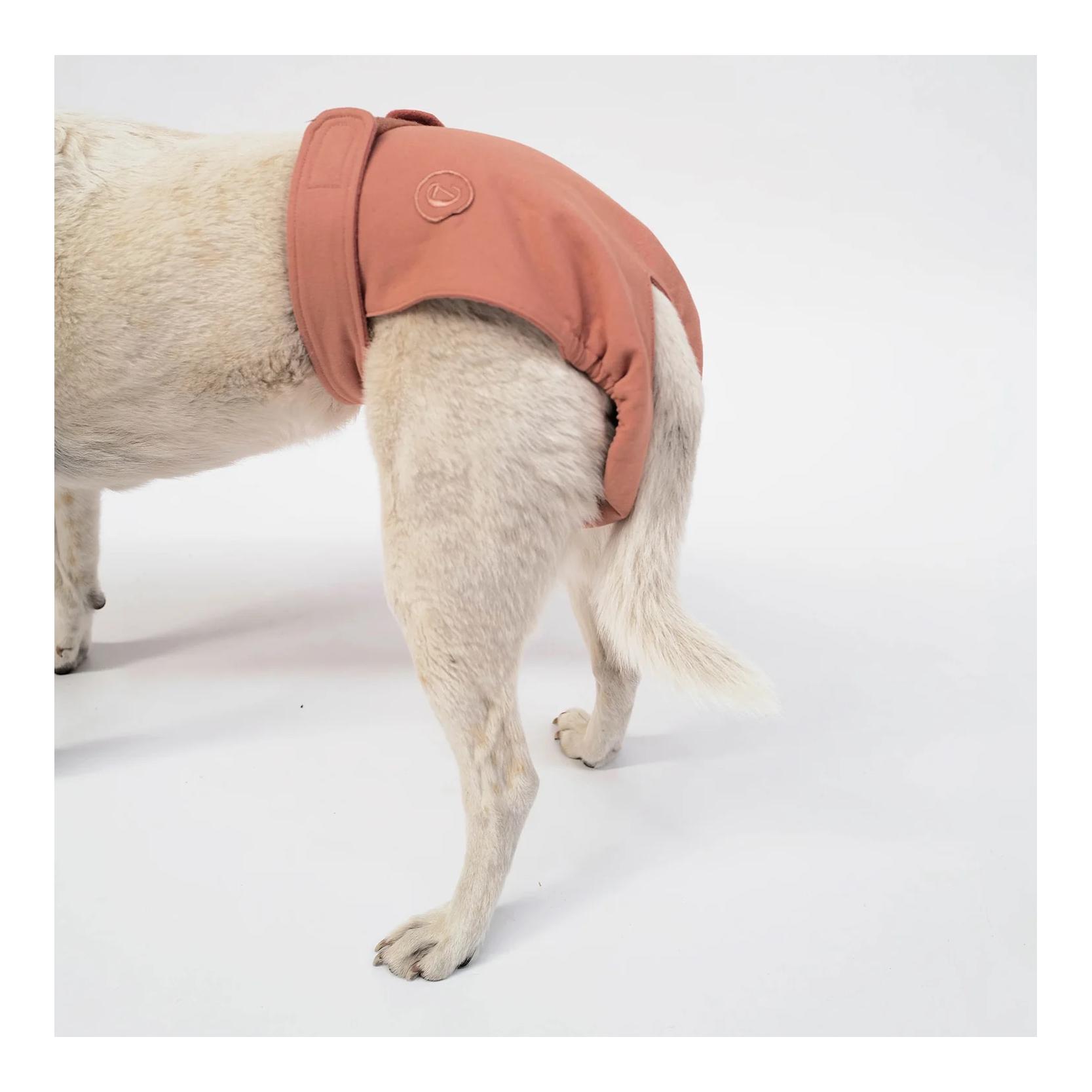 Cloud 7 Culottes pour chien en chaleur