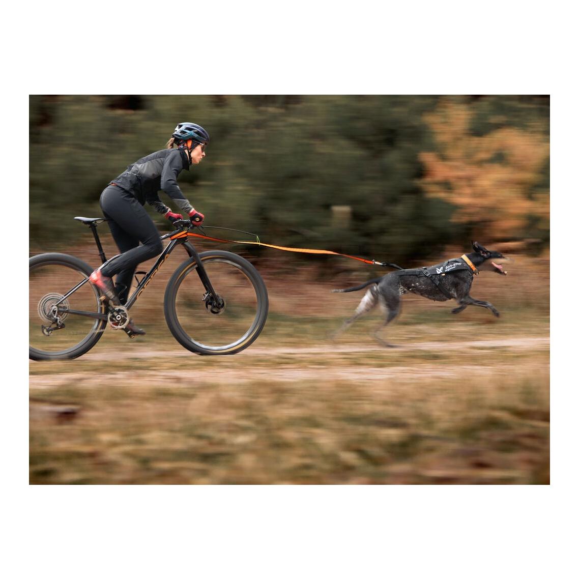 Non-stop Dogwear Hundegeschirr Freemotion harness pro