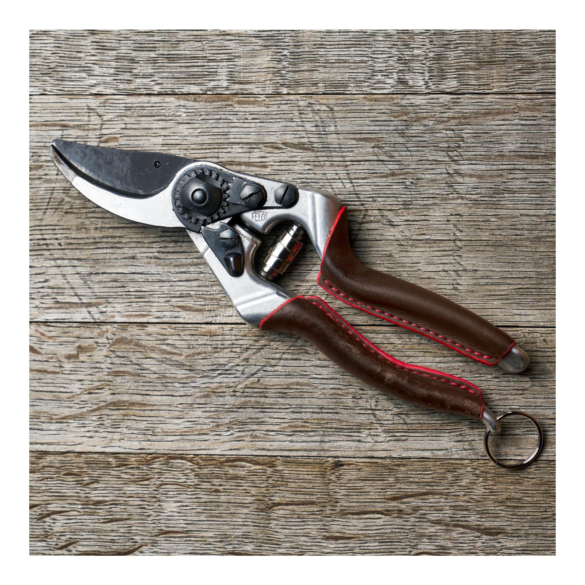 Felco FELCO Elite Sécateur