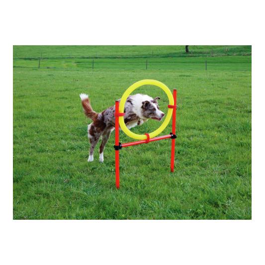 Kerbl Pet Agility Komplett-Set 3-teilig- rot/gelb