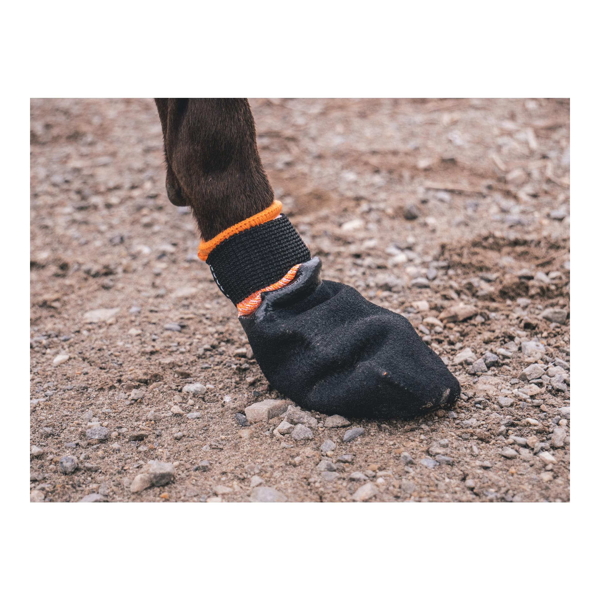 Non-stop Dogwear Protector Booties