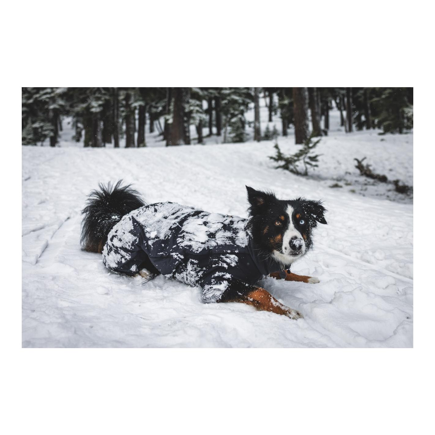 Ruffwear Powder Hound™ Wasserdichter Wattierter Coverall