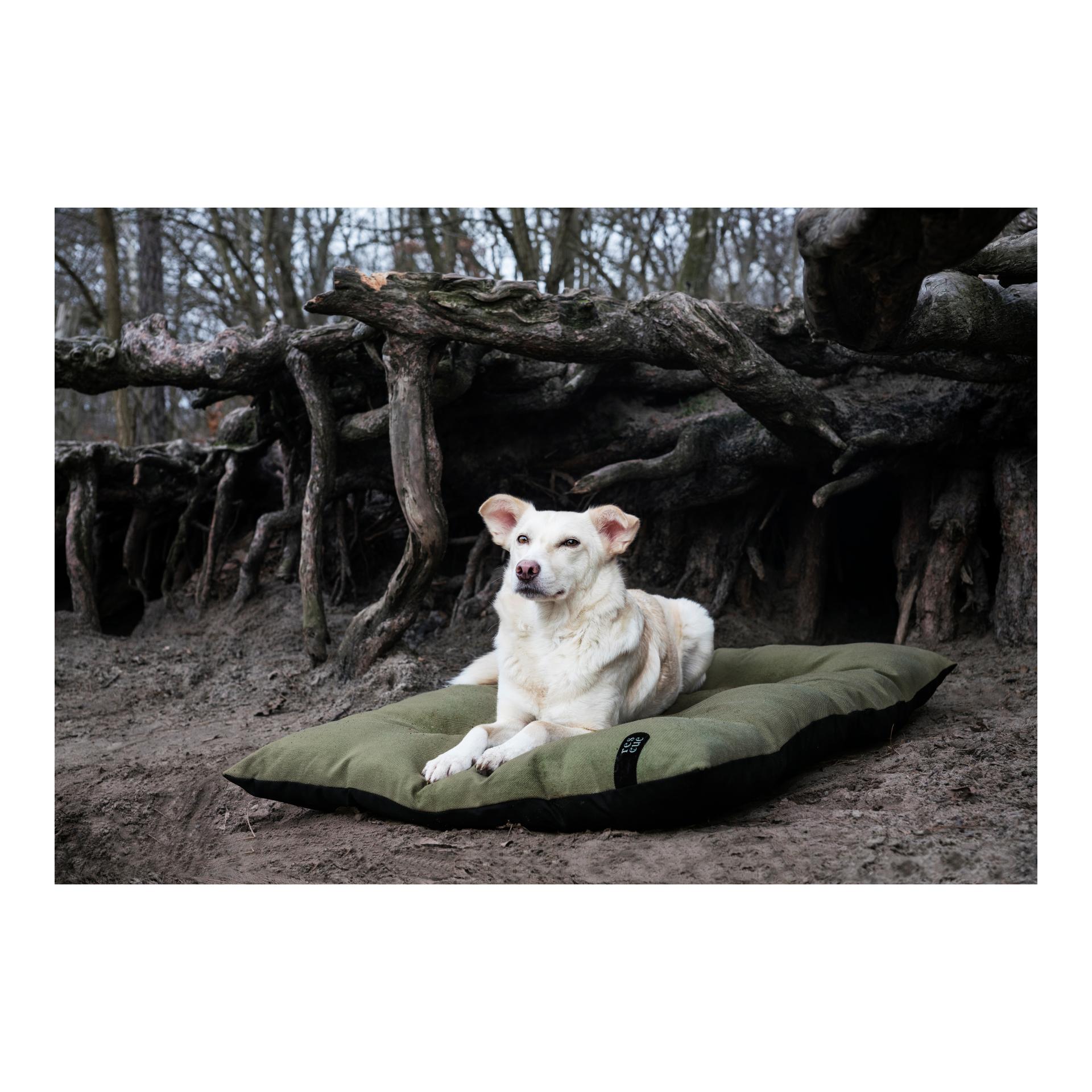 Cloud 7 Coussin pour chien RESC7UE