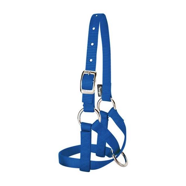 Weaver Livestock Alpakahalfter - blau