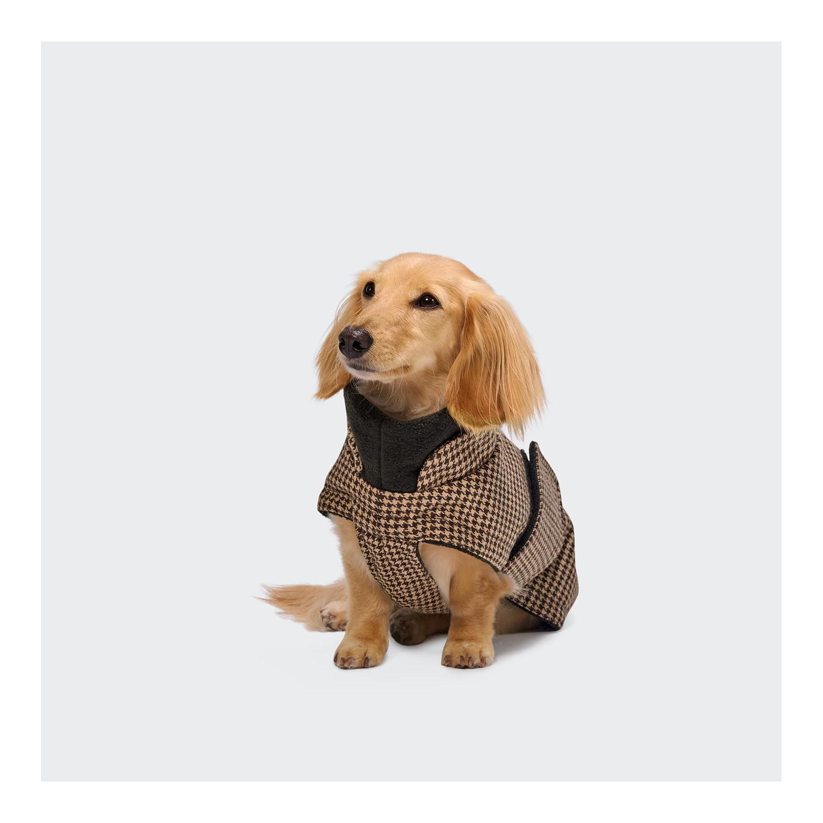 Cloud 7 Hundemantel Brooklyn Dackel