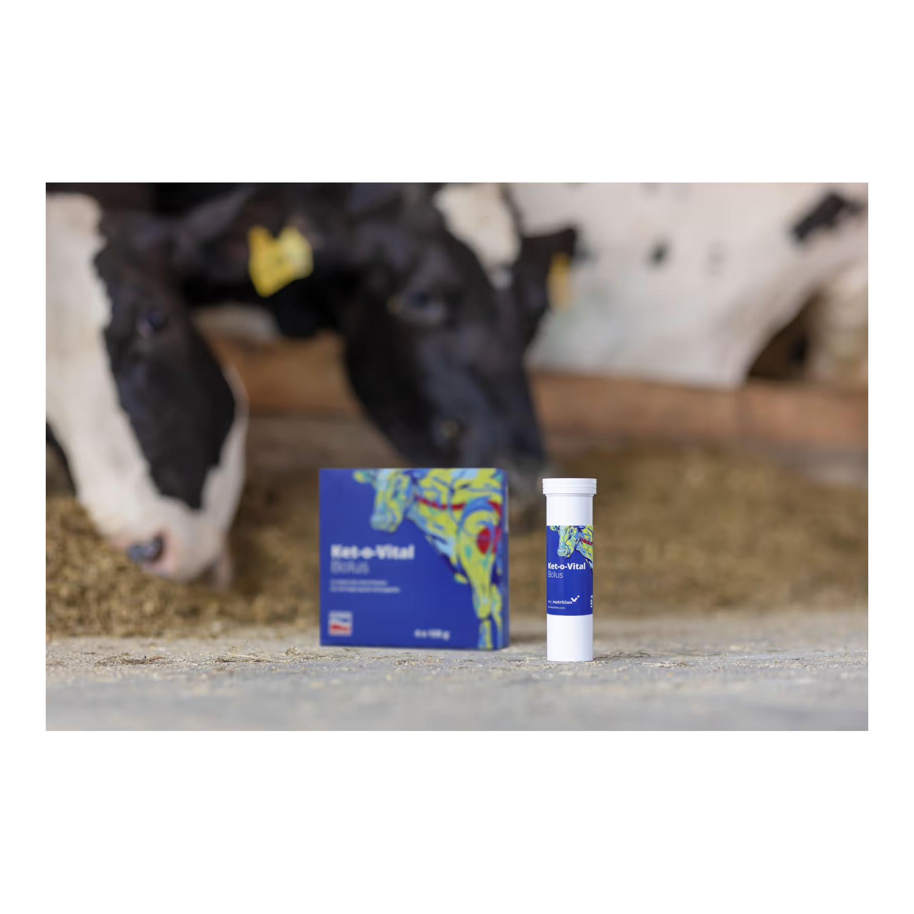 AgroChemica Ket-o-Vital® Bolus - Bolus énergétique (cétose)