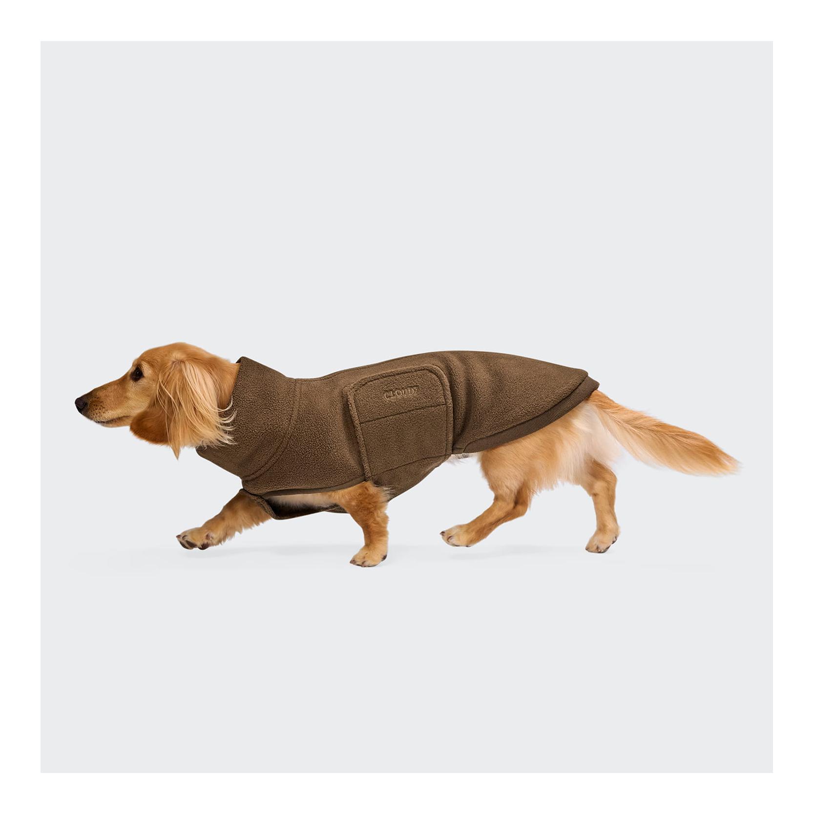 Cloud 7 Hundepullover Derby 2.0 Dackel soft Fleece