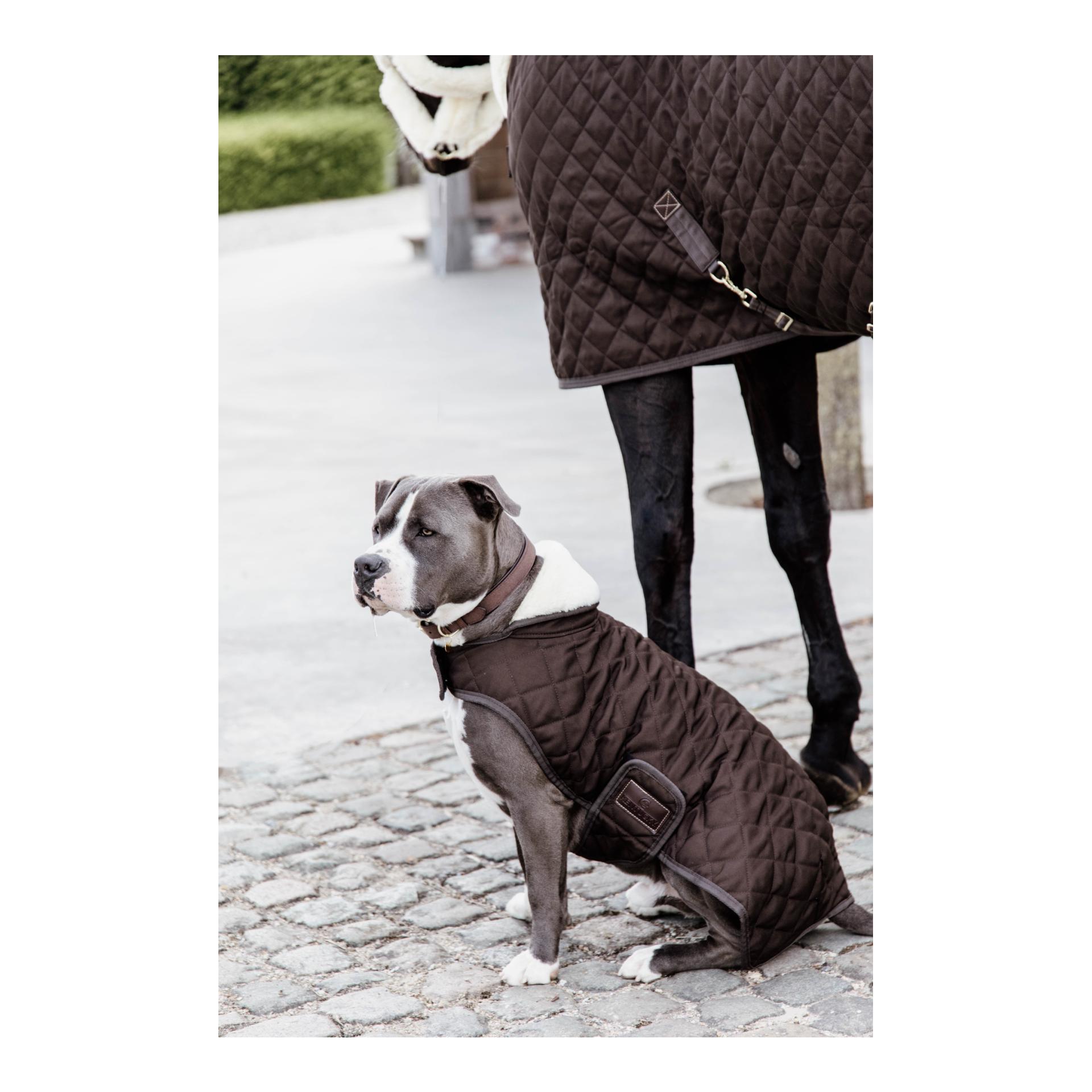Kentucky Dogwear Hundemantel Original - brown