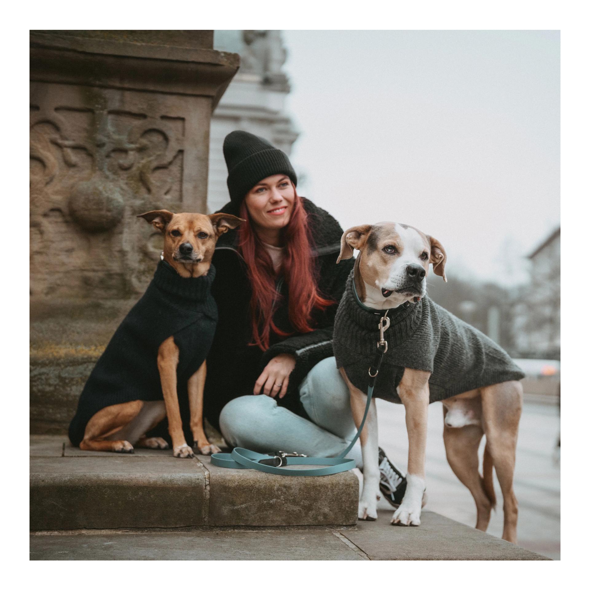 Hunter Pull pour chien Genève
