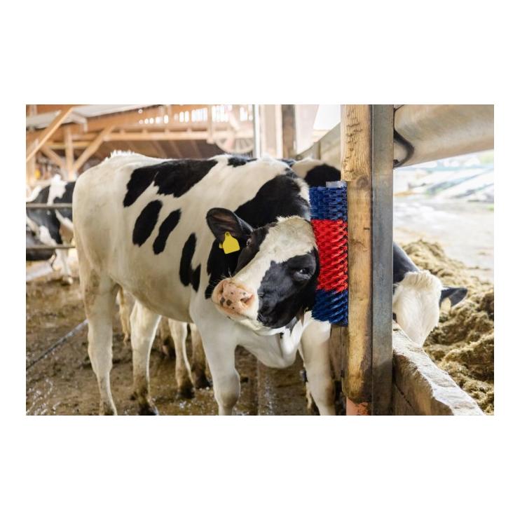 Kerbl Brosse à gratter XL